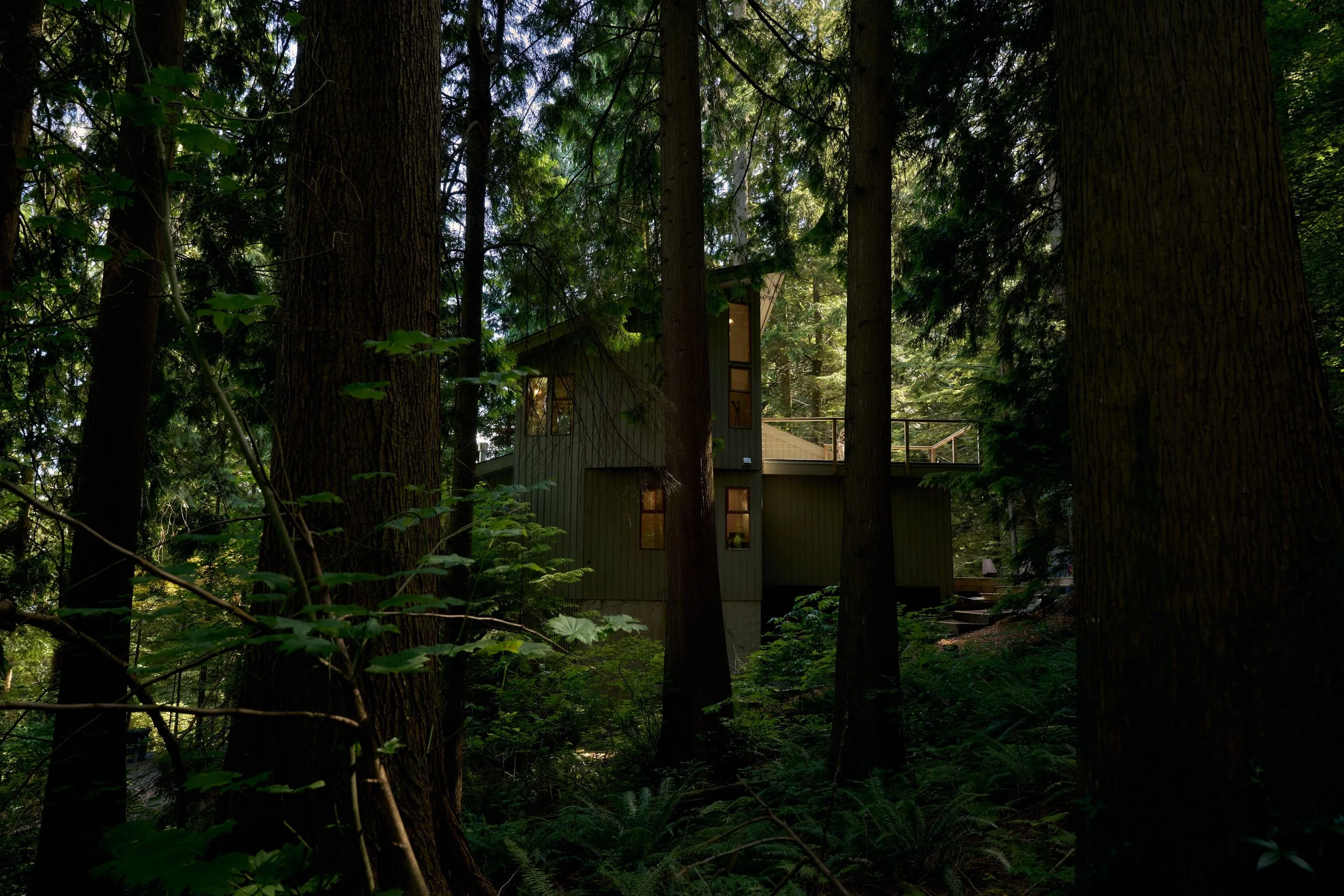 HiddenHouse8648.jpg