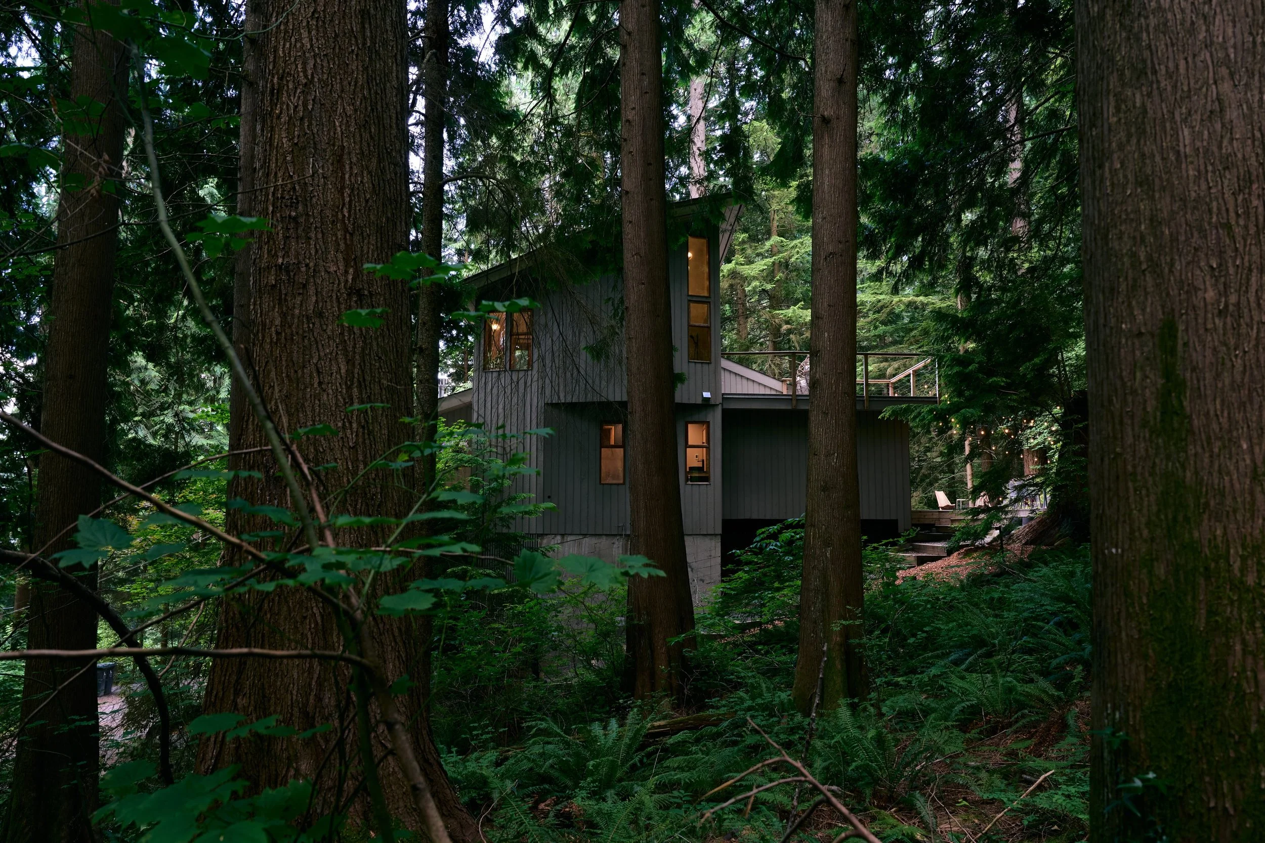 HiddenHouse9457.jpg