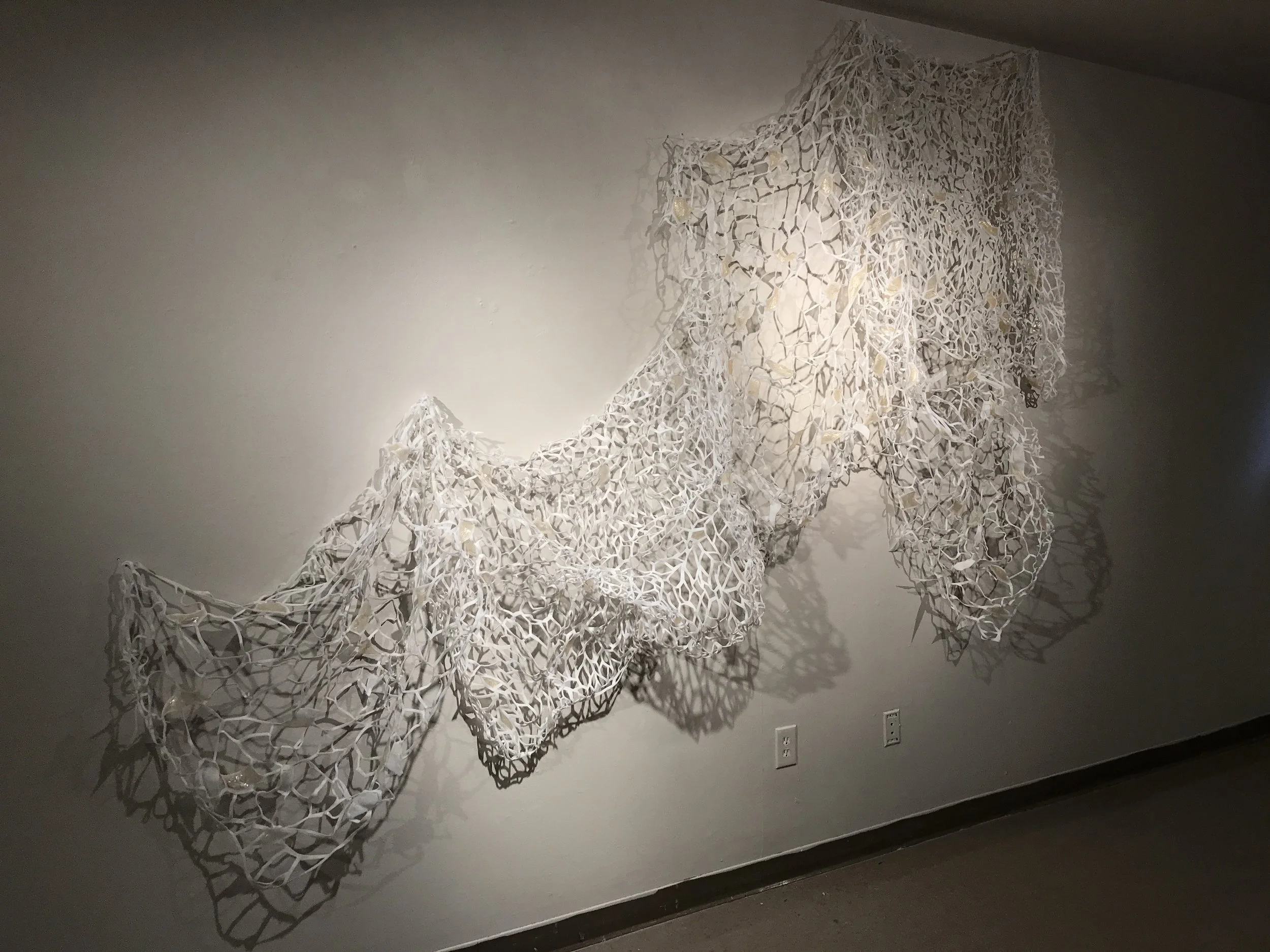 Amanda Morgado: an MFA Critique