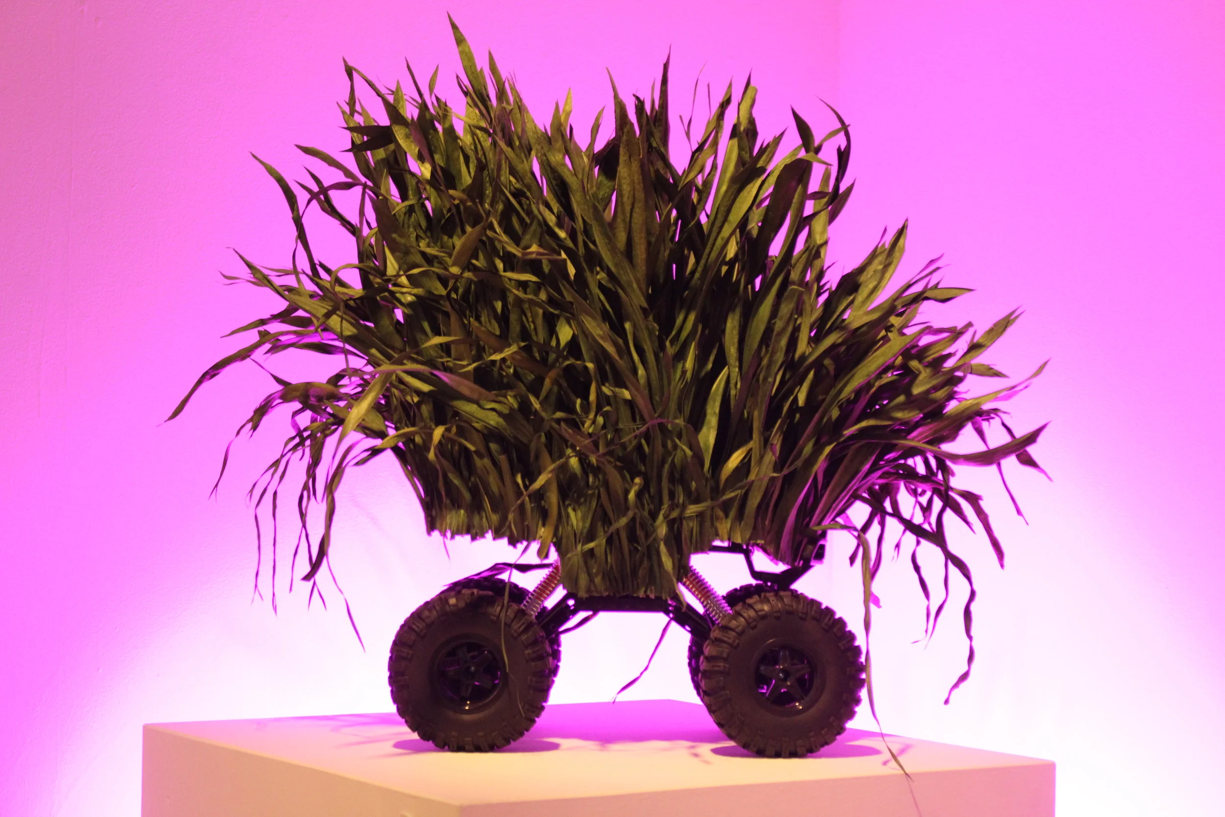 Jeff Schmuki and Wendy DesChene