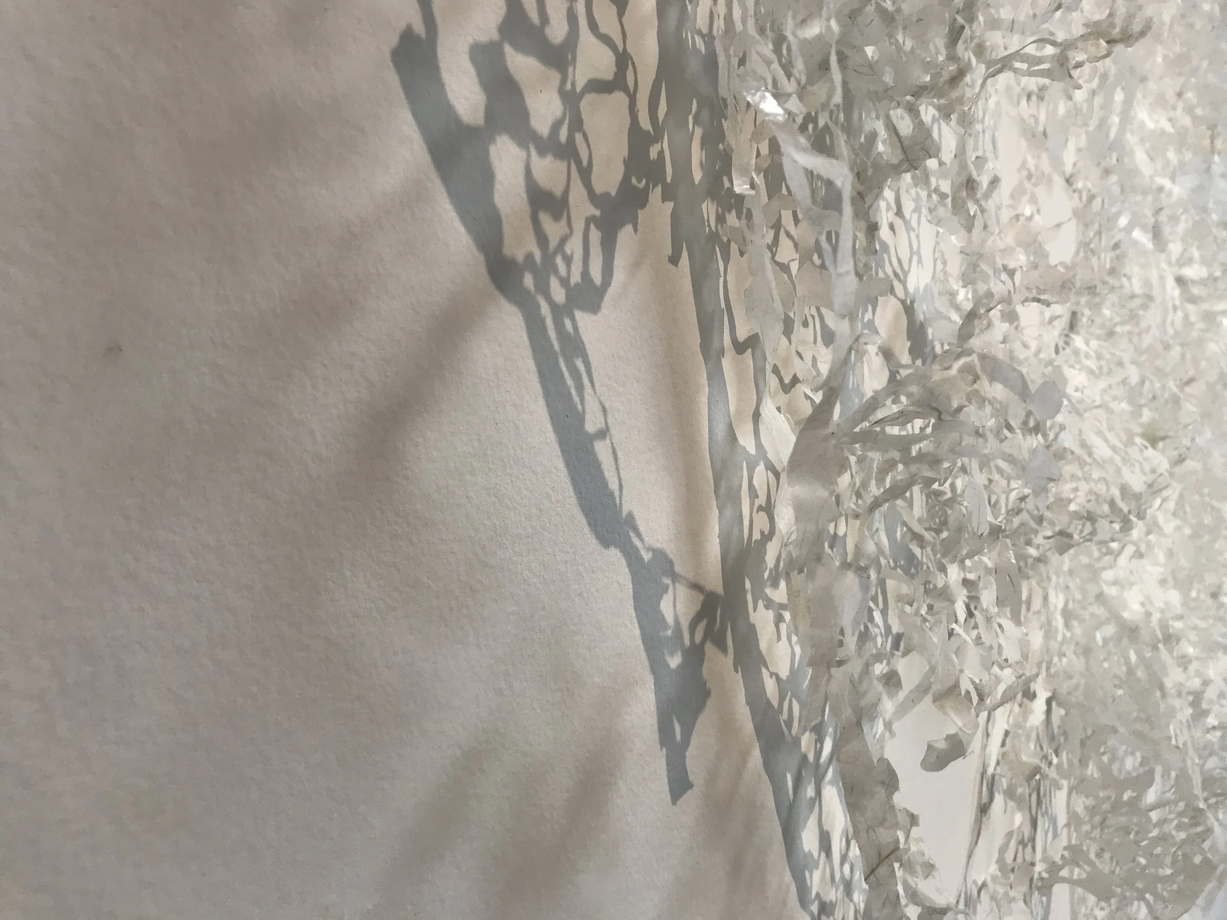 Avant Grads at Stormwater