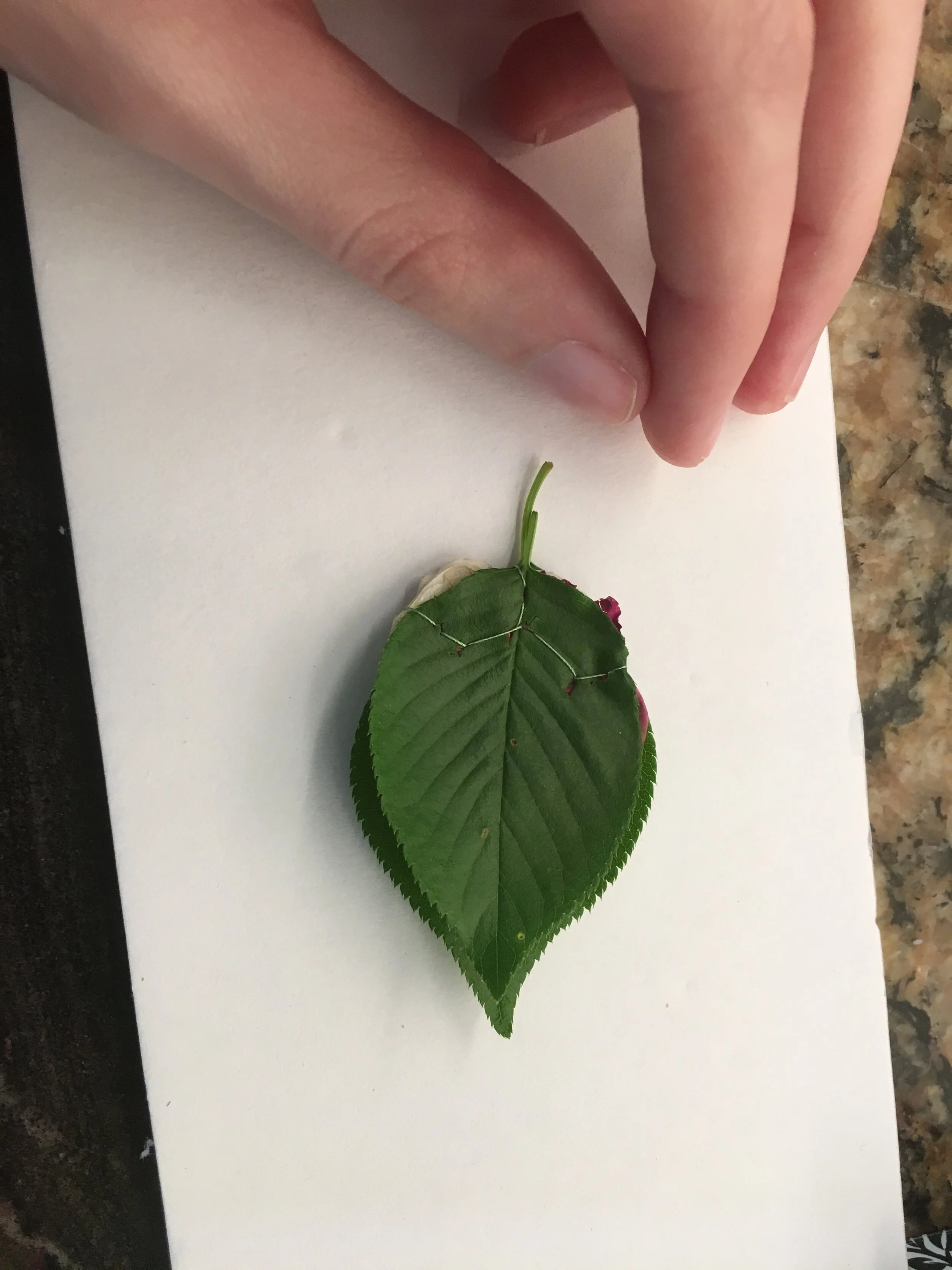 Letting Go While Holding On