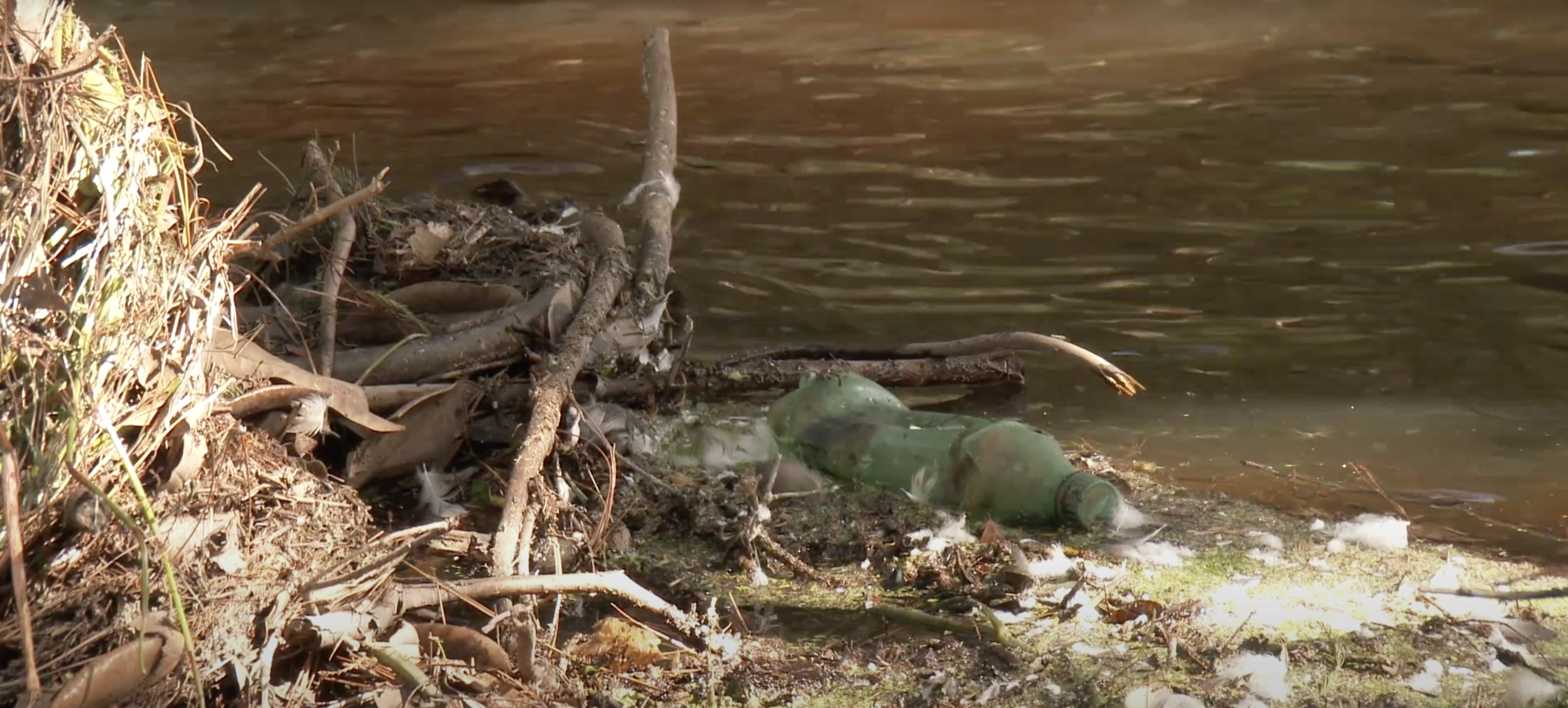 Macroplastics in South Carolina Waters: Connecting the Midlands to the Coast Documentary