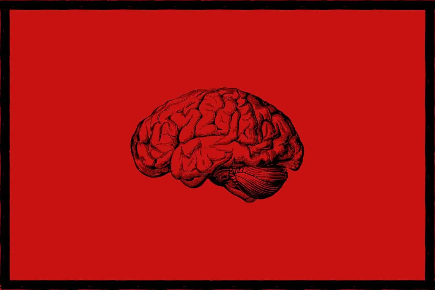 Stop Collecting Intellectual Prizes And Build Something