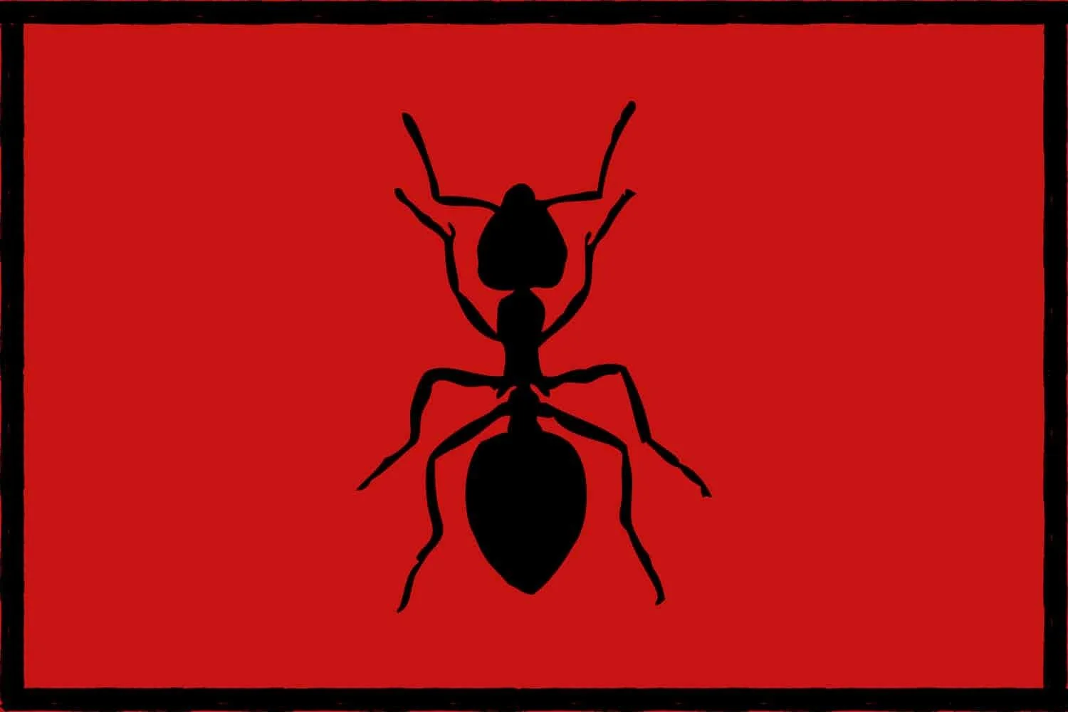 The World Rewards Specialization. But Should You?