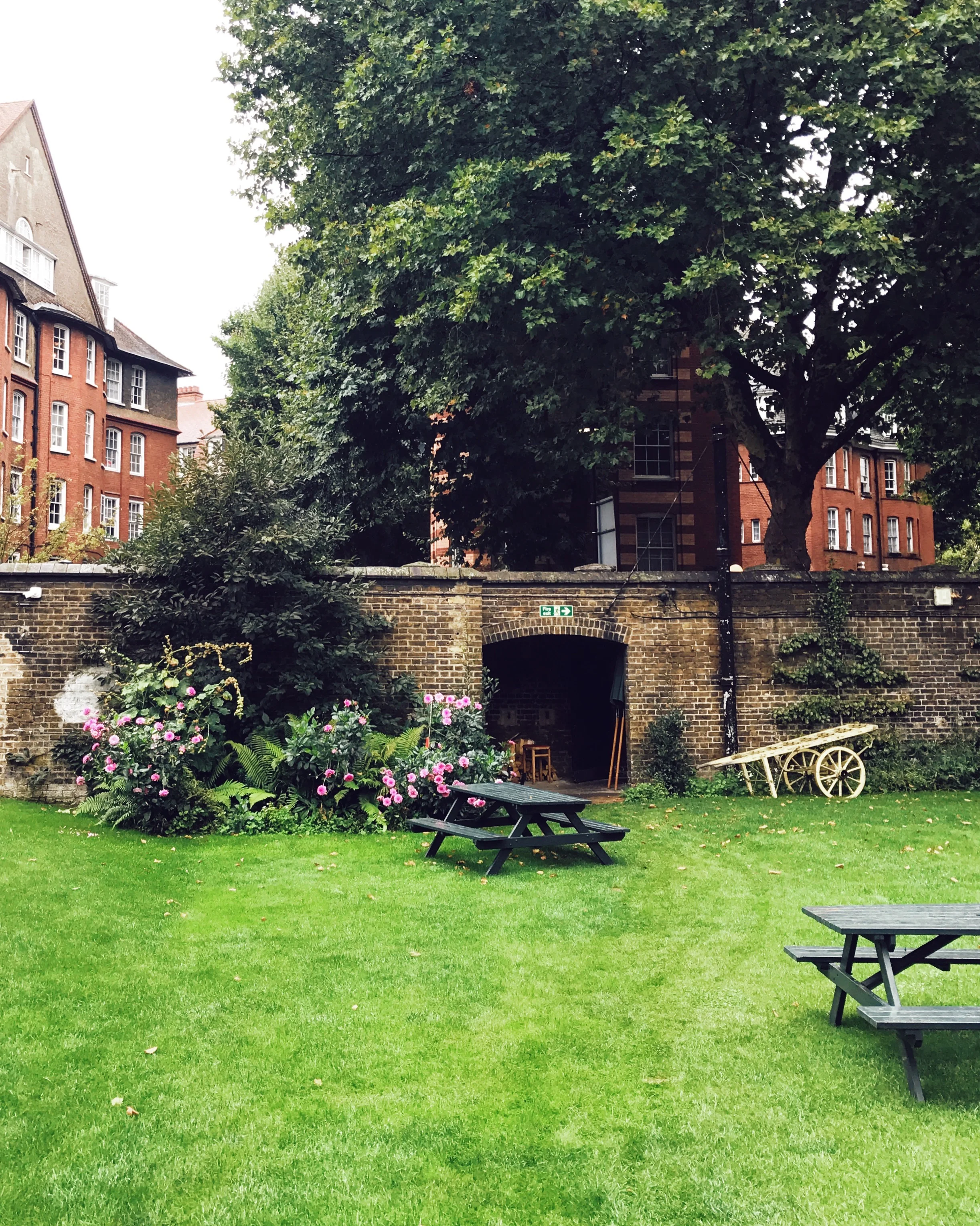 courtyard.jpg