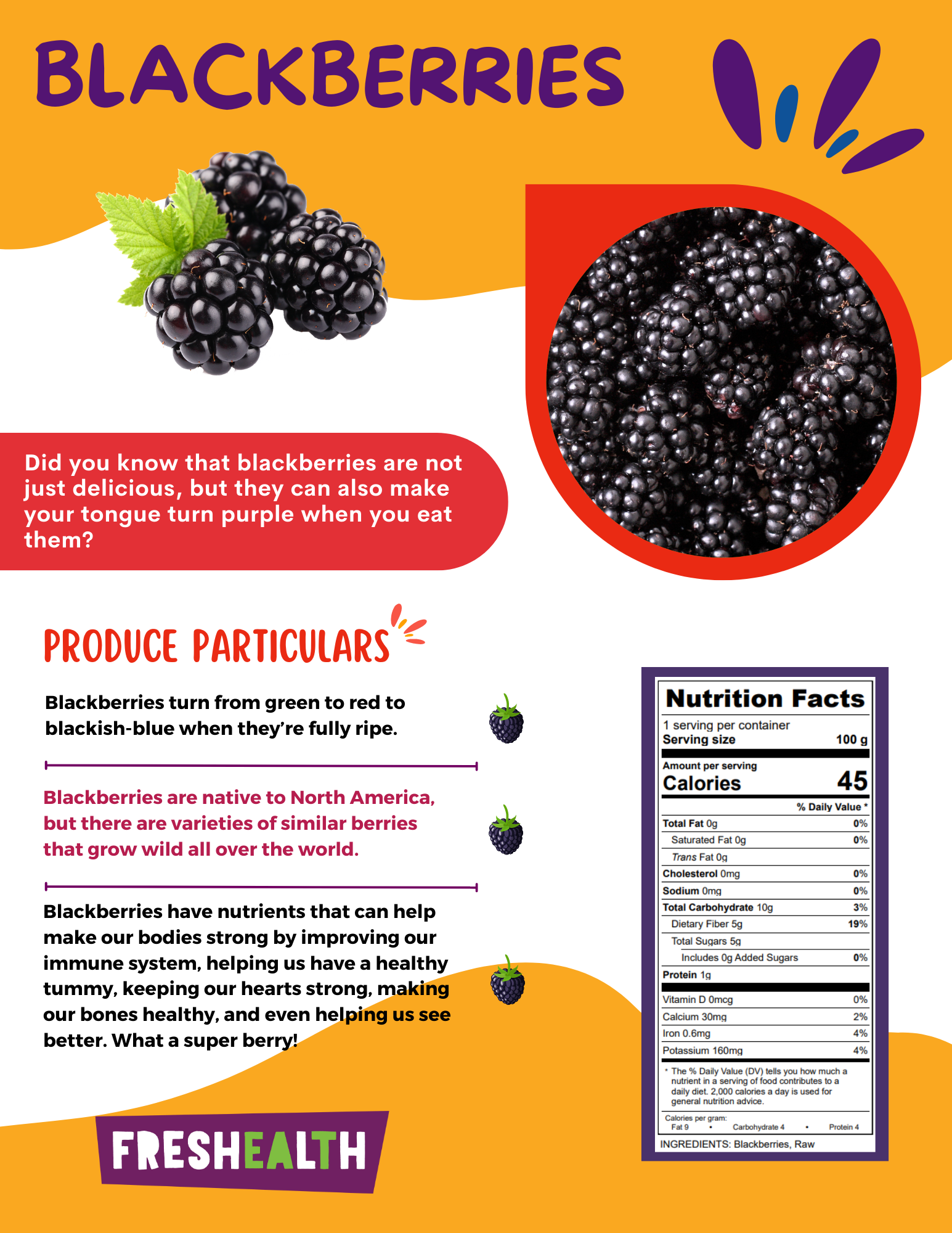 Blackberries.png