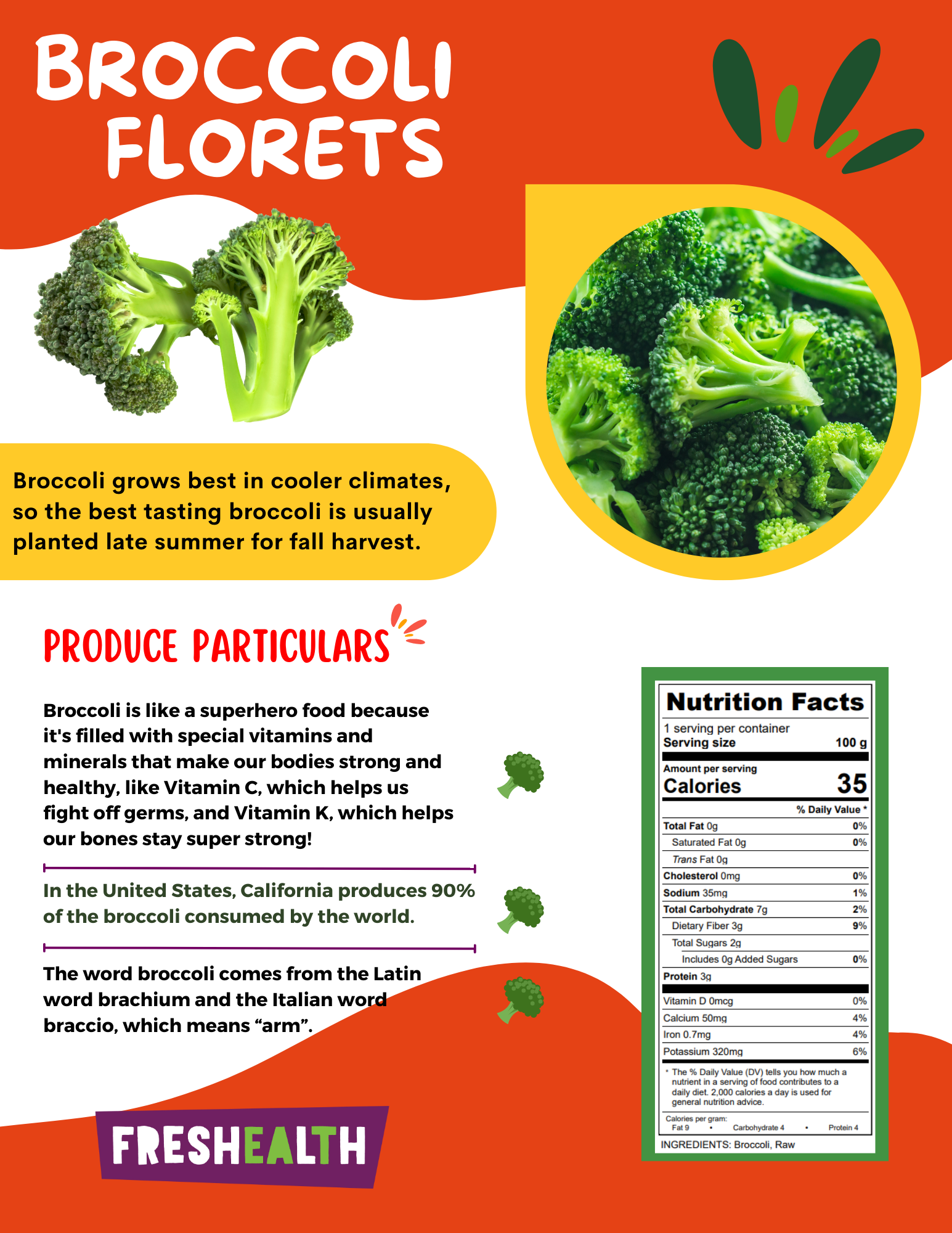 Broccoli Florets.png