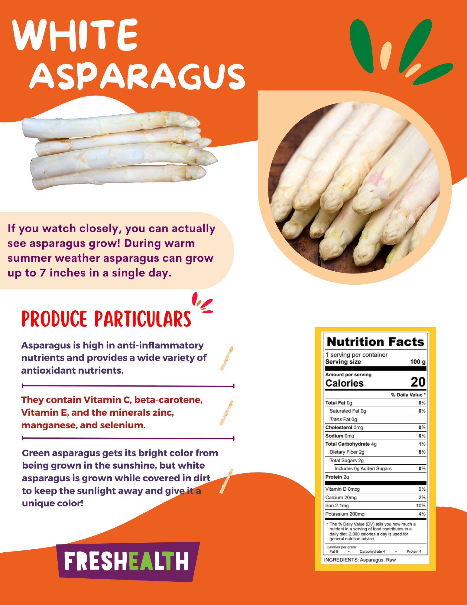 White Asparagus.png