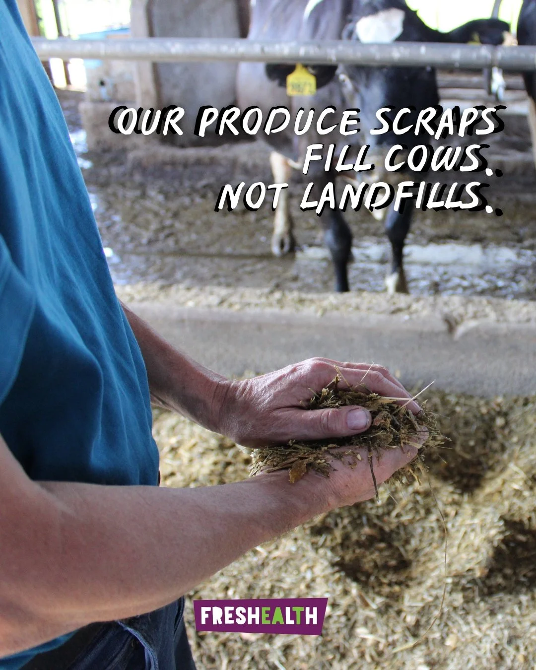 Food waste + landfills = methane 🌎

And methane is one of the most powerful greenhouse gases there is. That's why we divert our food scraps to Twin Oaks Dairy Farm in central Ohio. By doing this, we're helping reduce methane emissions and keep organ