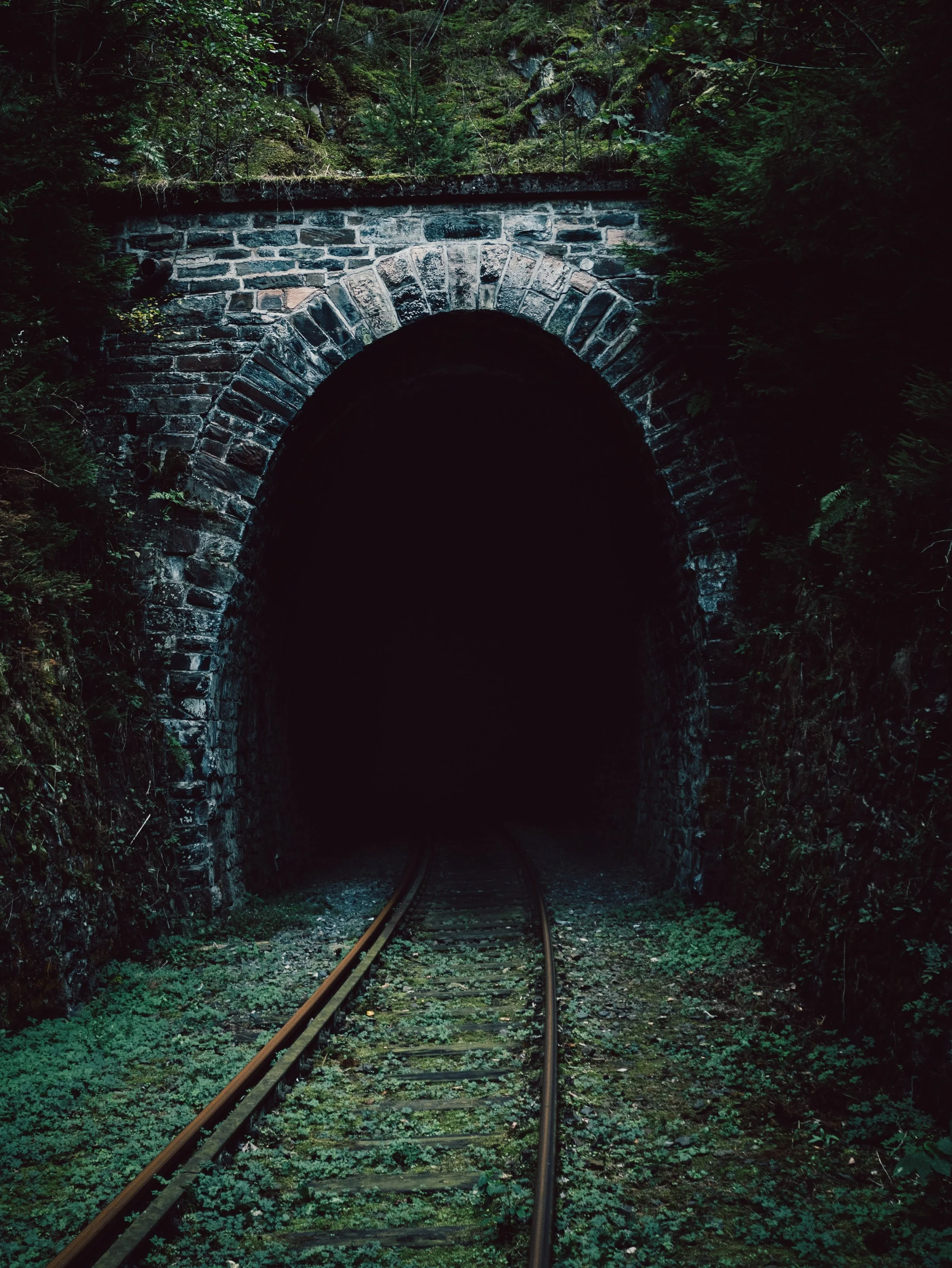 Photo Courtesy of Johannes Rapprich via Pexels.com
