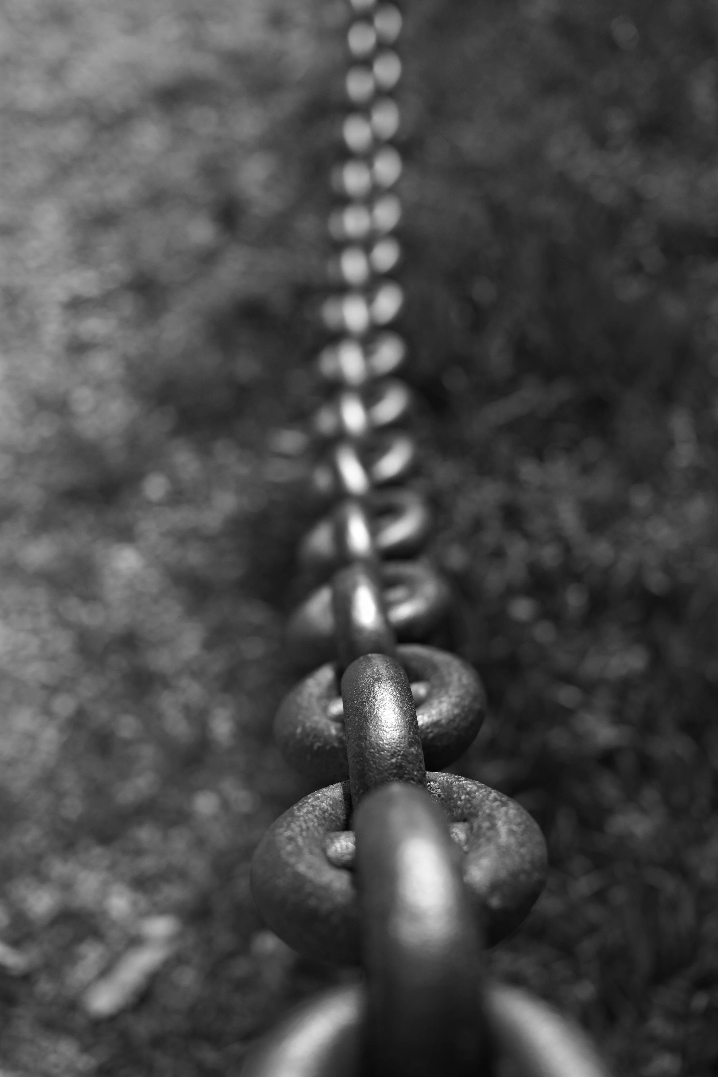 Photo courtesy Luděk Maděryč via Pexels