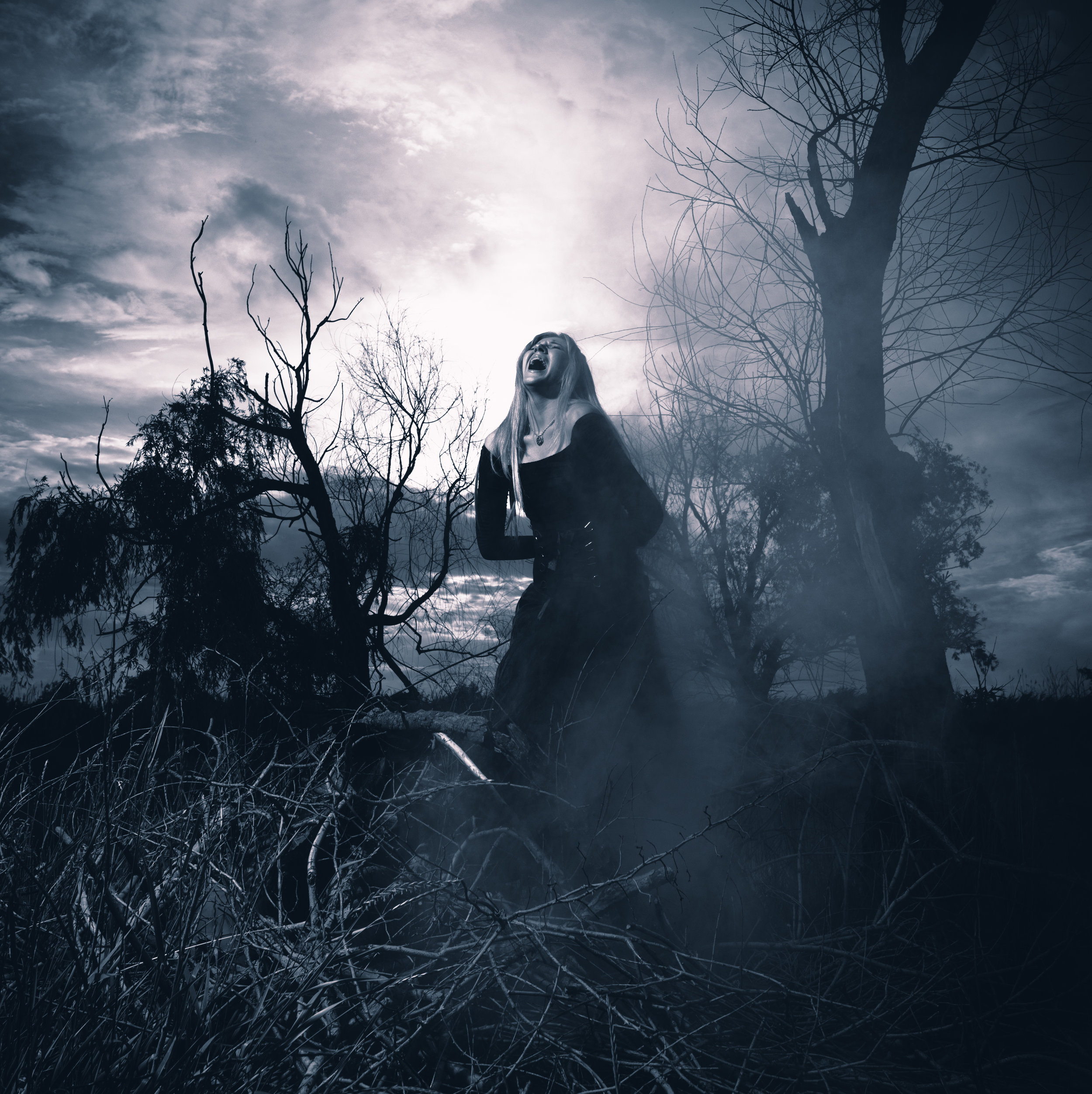 Photo courtesy of rodjulian via Adobe Stock