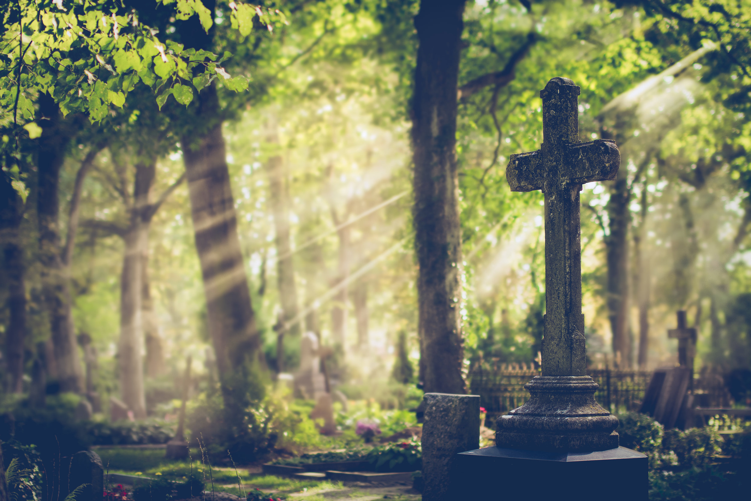 Photo courtesy of locrifa via Adobe Stock