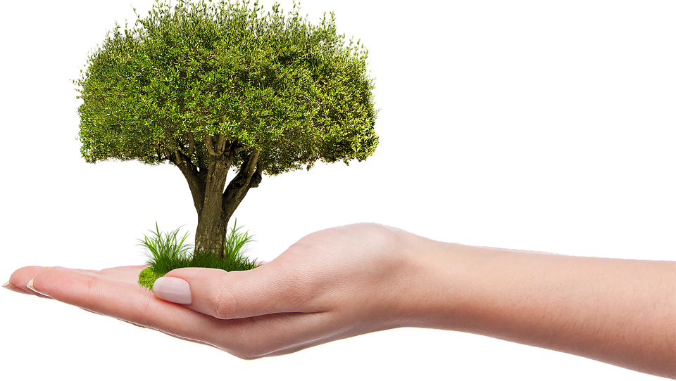 Photo courtesy of Pixabay