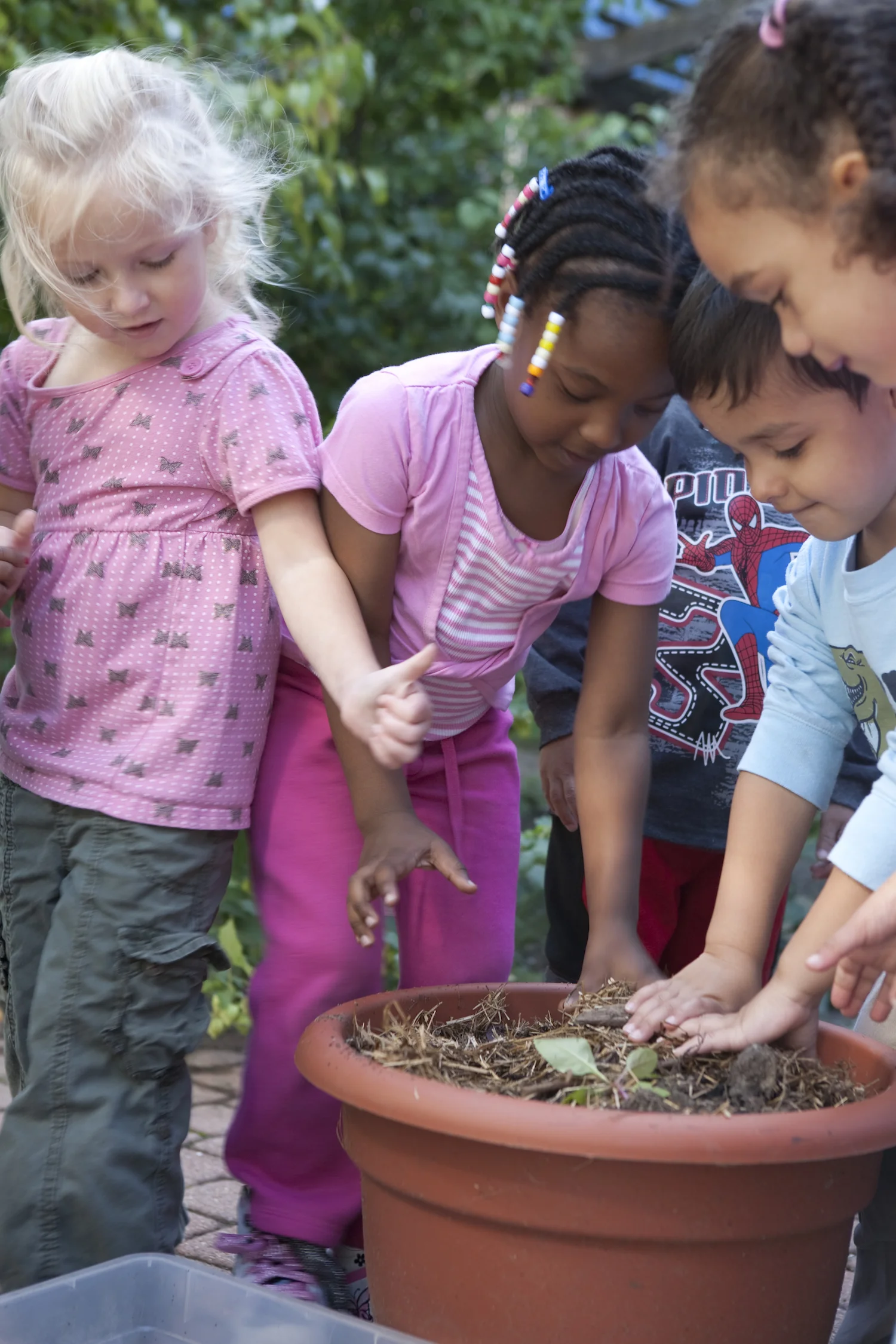 Will you Find an Octopus in the Garden?