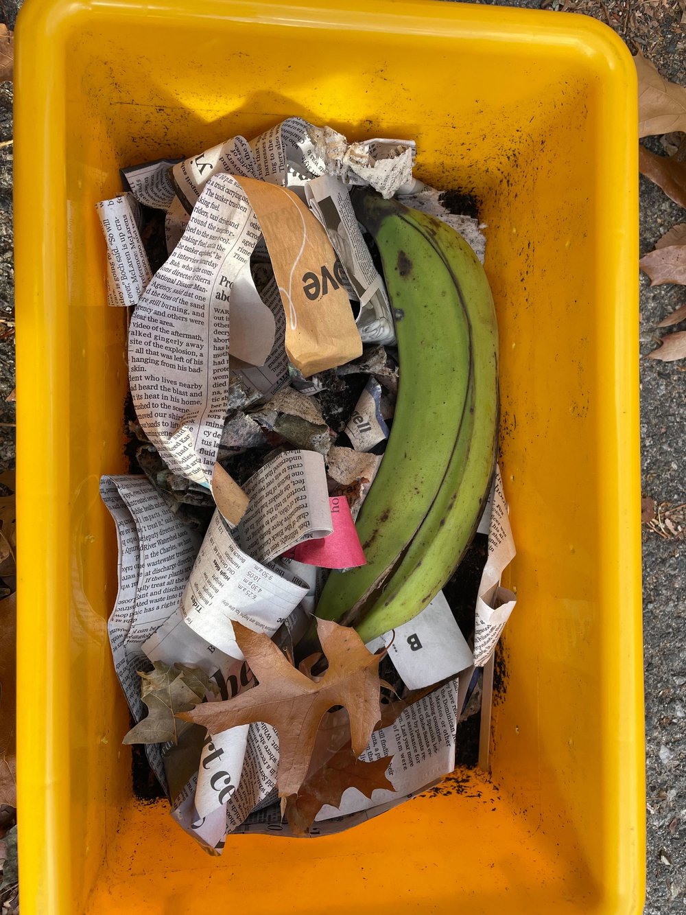 banana in bin.jpg