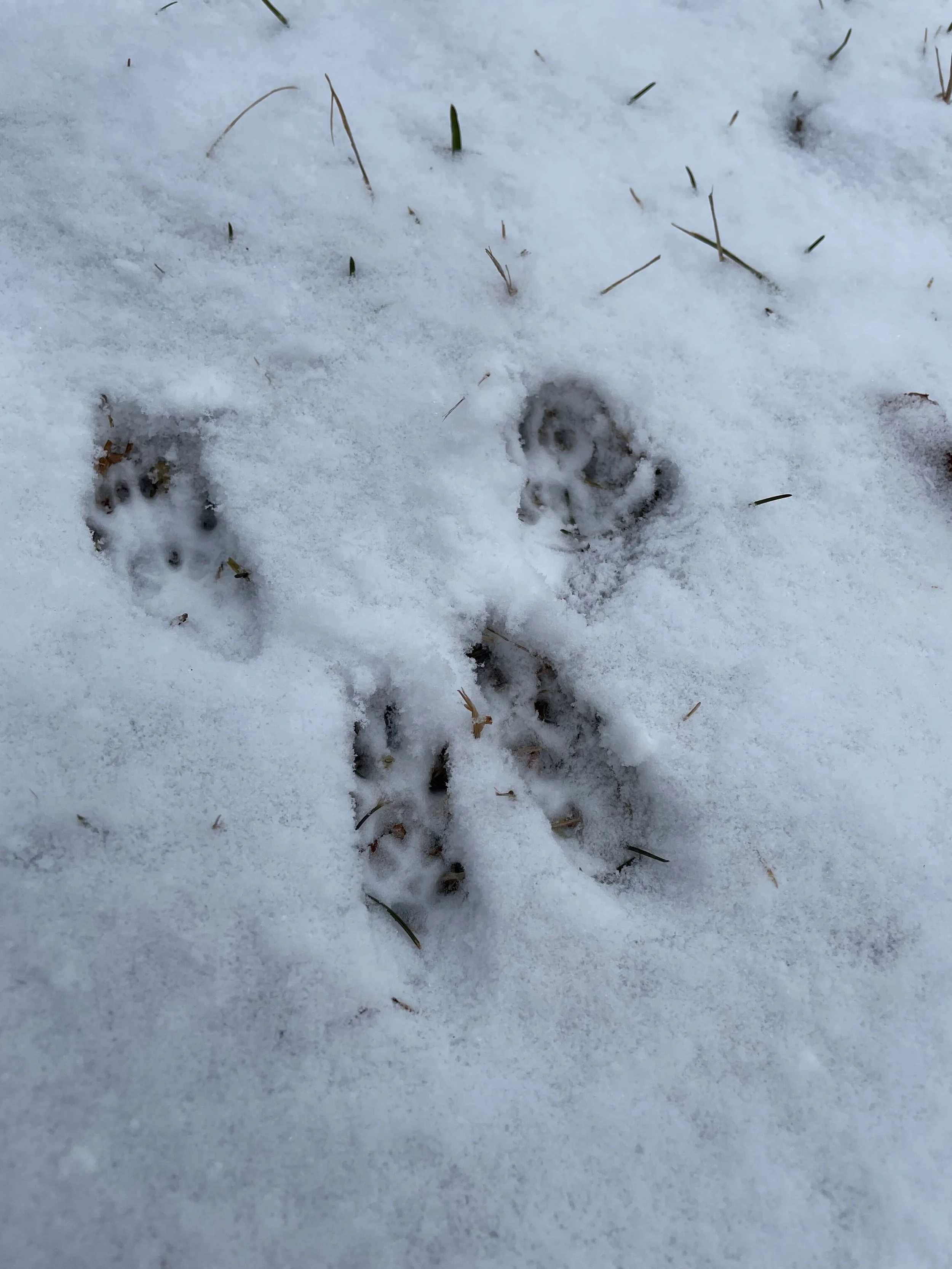 Sleeping Gardens and Science Outdoors
