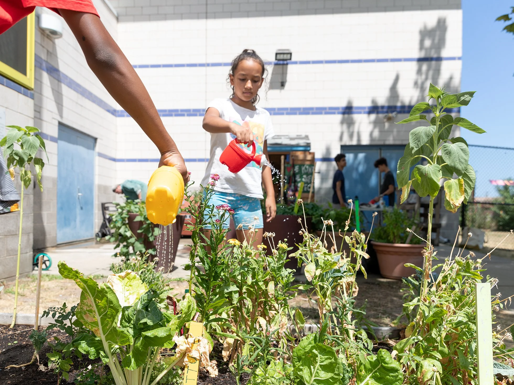 Back to the School Garden