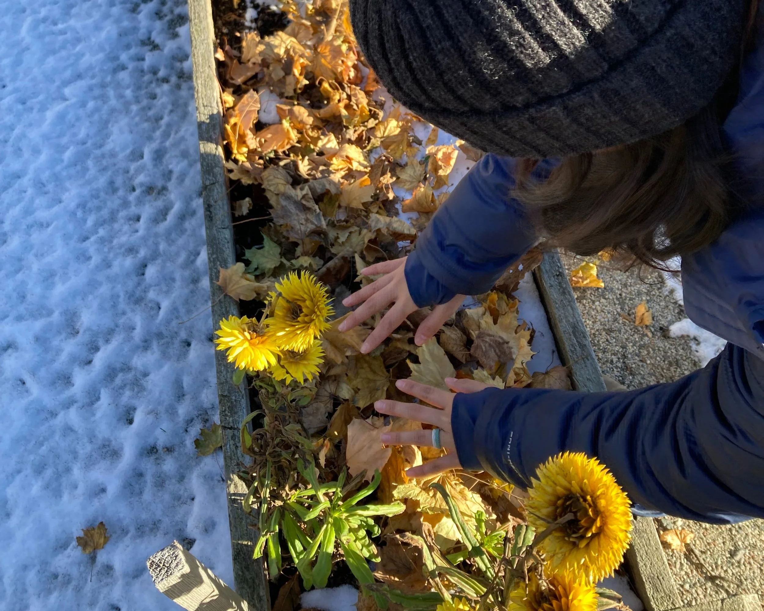 Putting the Gardens to Sleep