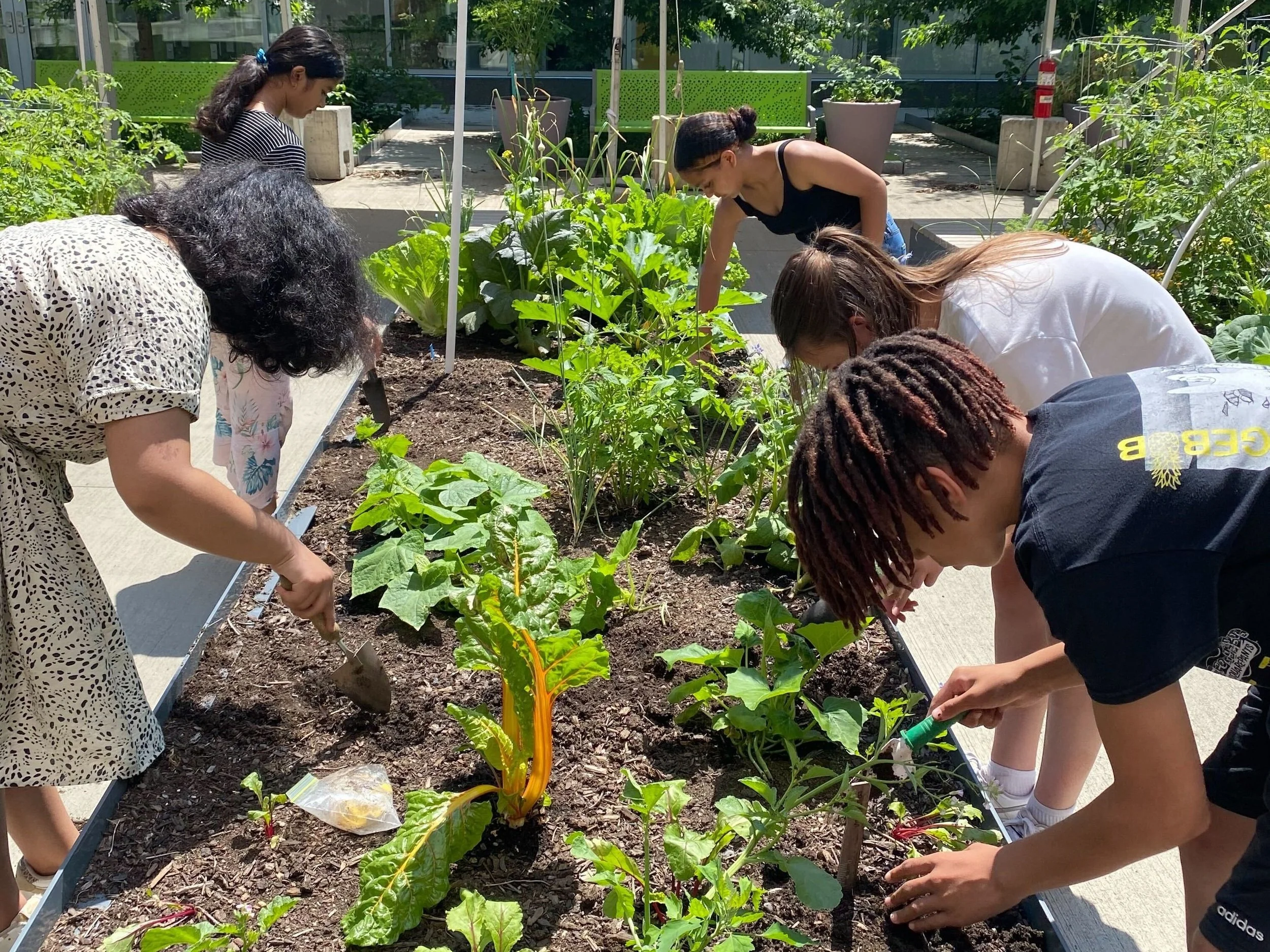 A Day in the Life of a Young Leader