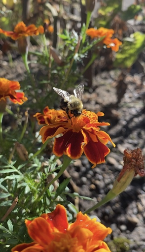 The Magic of a High-Five