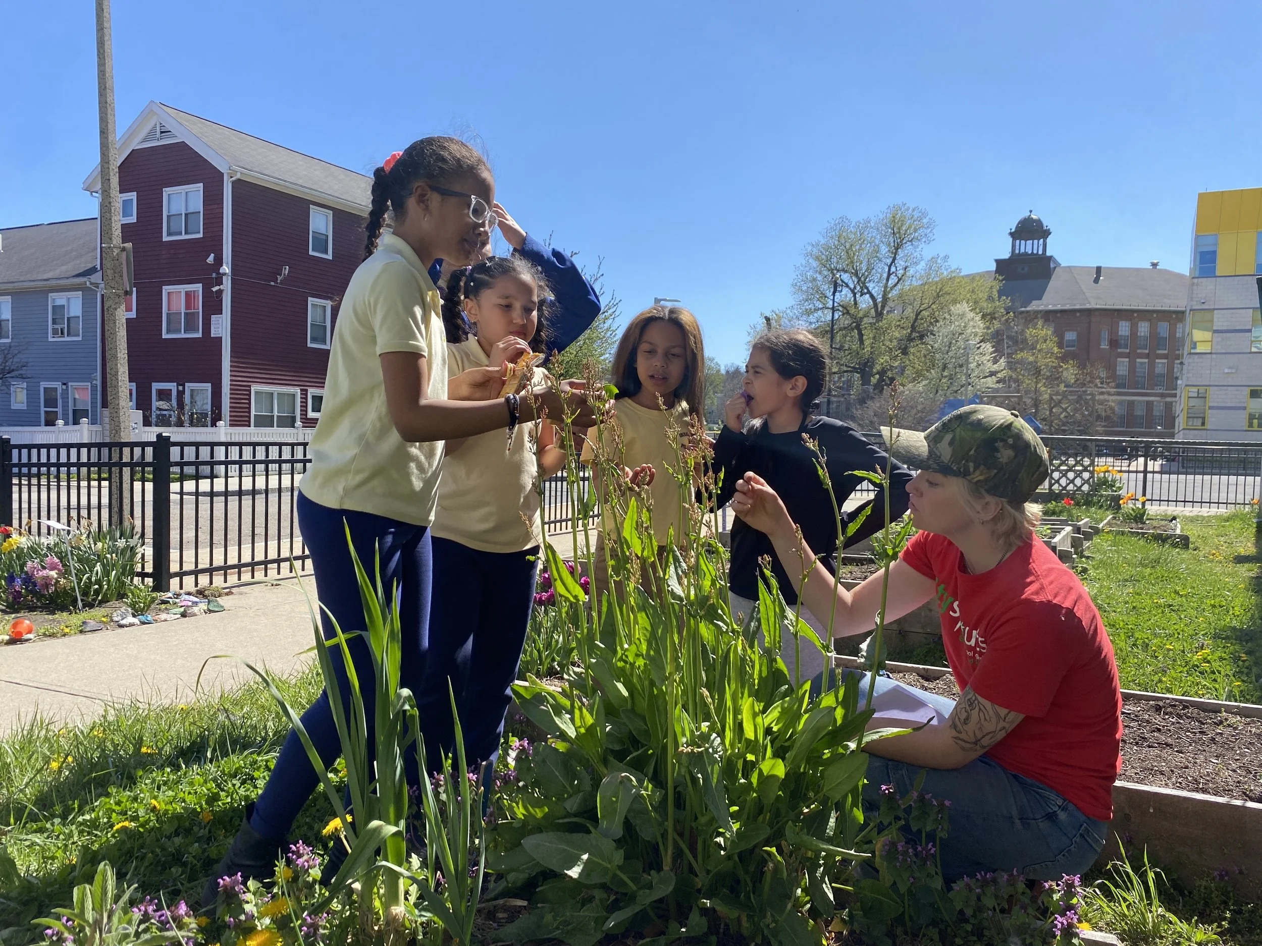 Stopping to Smell the Lilacs: A Day in the Life of CitySprouts Green Team at Orchard Gardens 