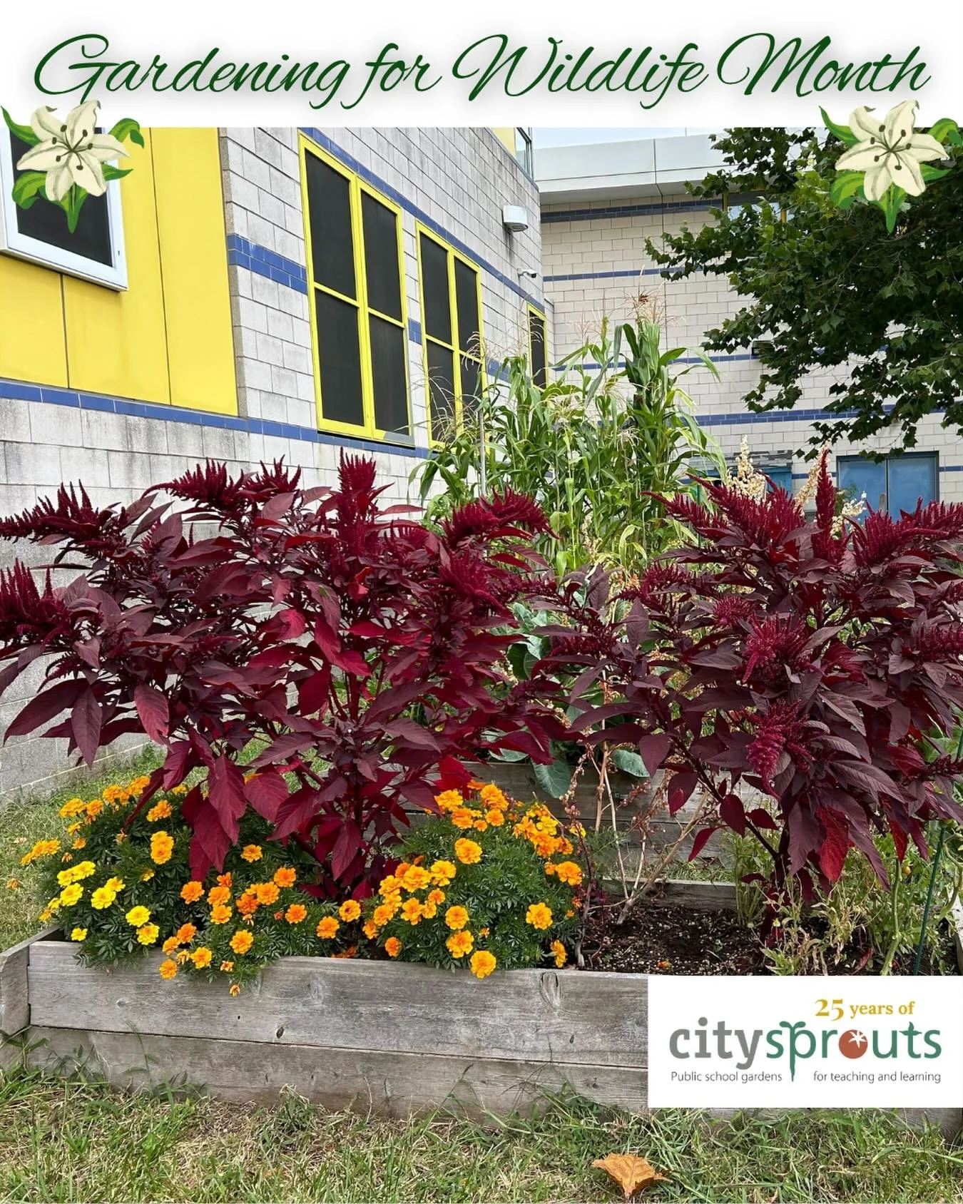May is Gardening for Wildlife Month, and we encourage everyone to turn yards, balconies, and community spaces into sustainable habitats. 🪴

We&rsquo;re proud of our work at CitySprouts, where every day we maintain school gardens for kids to learn in