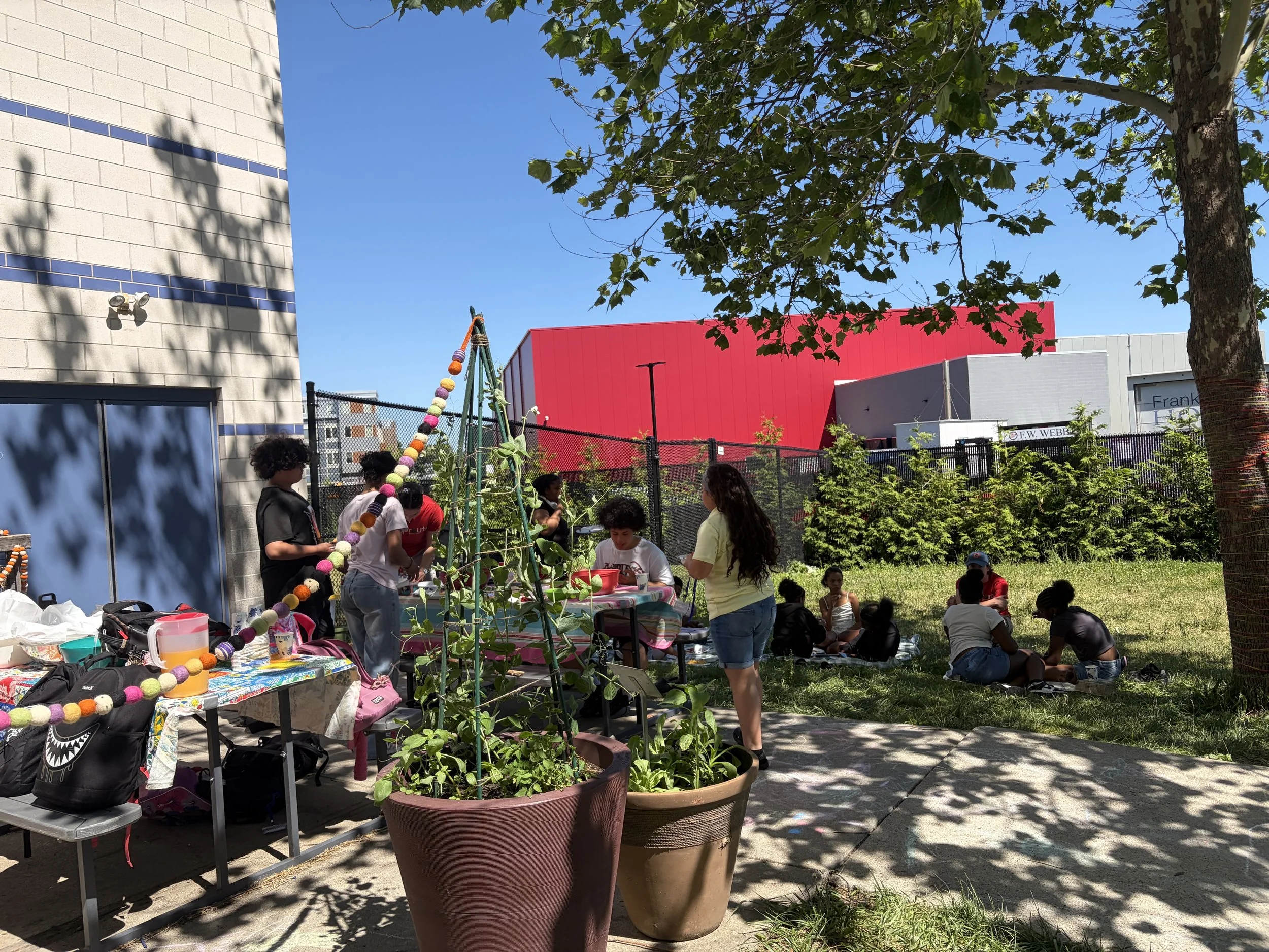 Celebrating Growth in the Garden!: The Afterschool Green Team Year in Review