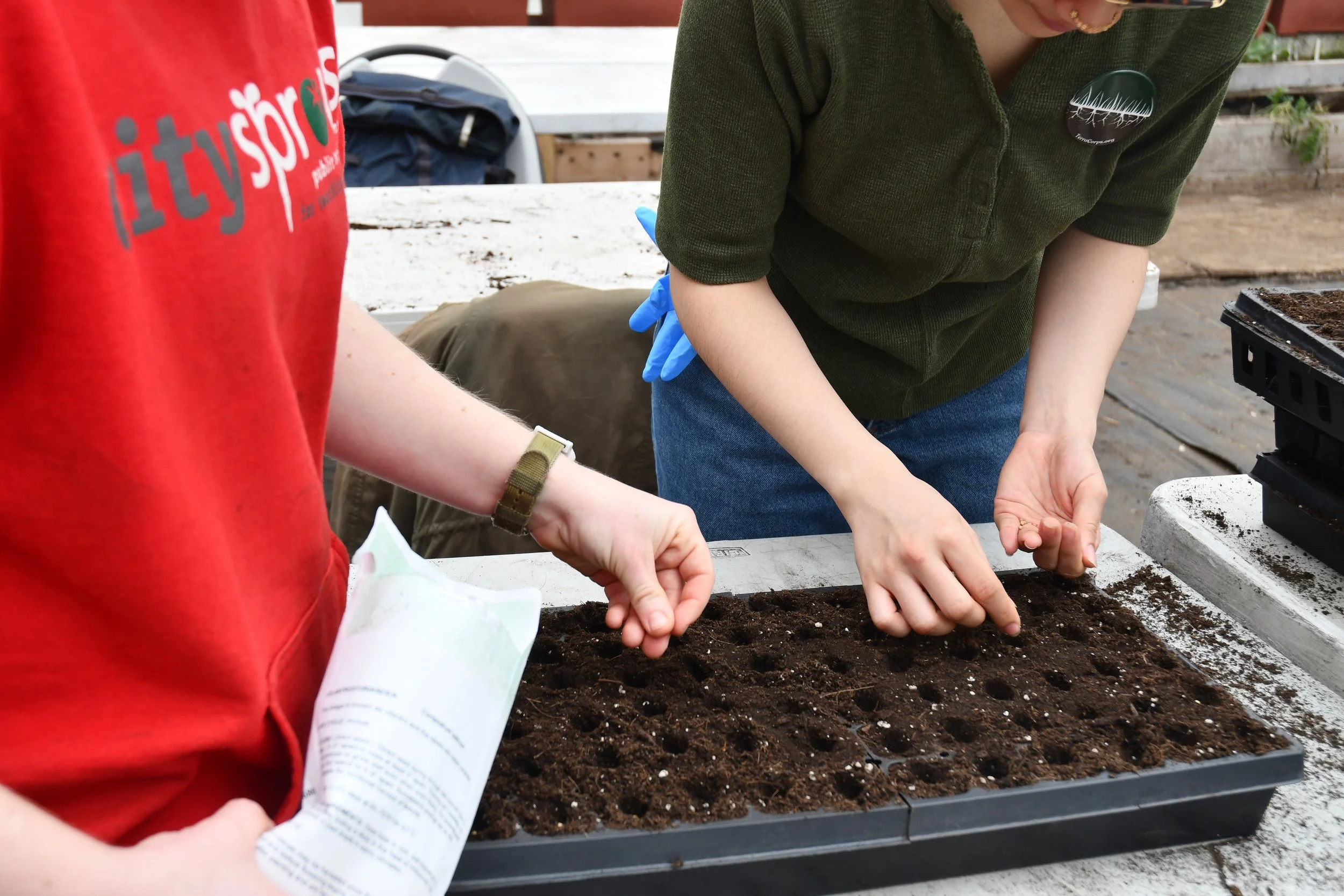 Dudley - staff sowing seeds.JPG