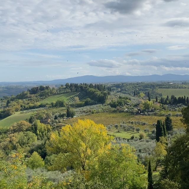 Lunch in San Gimignano at Belsoggiorno. Side effects might include Stendhal Syndrome.
.
.
.
.
.
#tuscanyitaly #lunchwithaview #italy #toscana🇮🇹