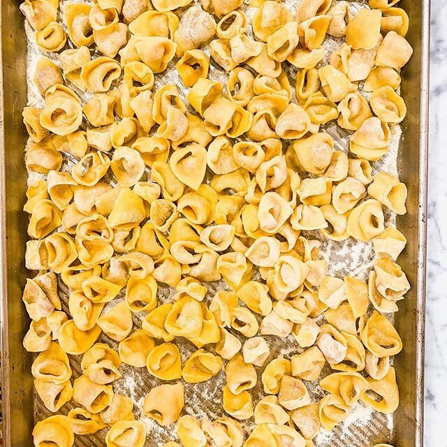 Dreamt of tortellini last night. I was just starting to get the hang of it by the last one