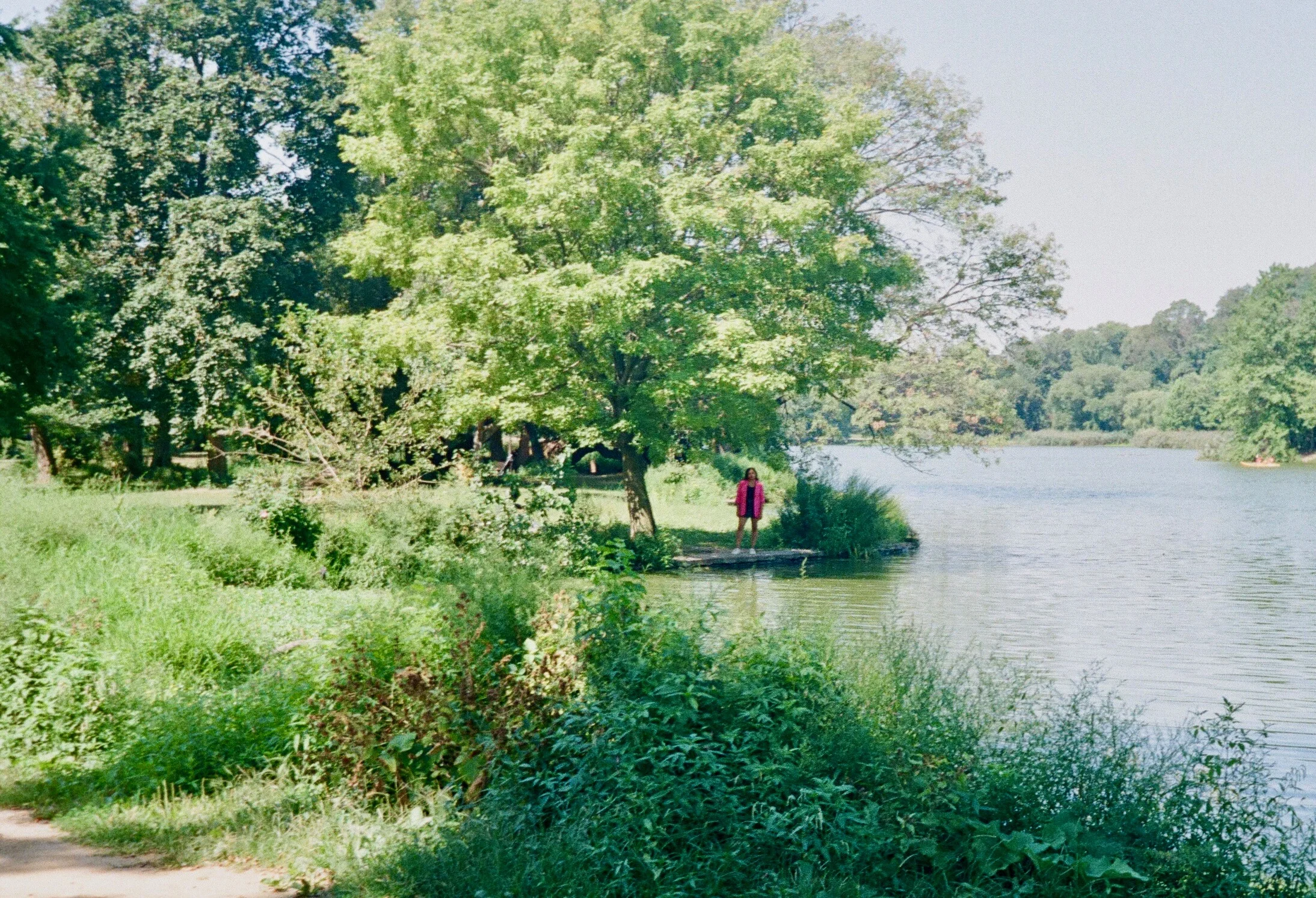 Kishori, amongst the trees in Prospect Park, Brooklyn.