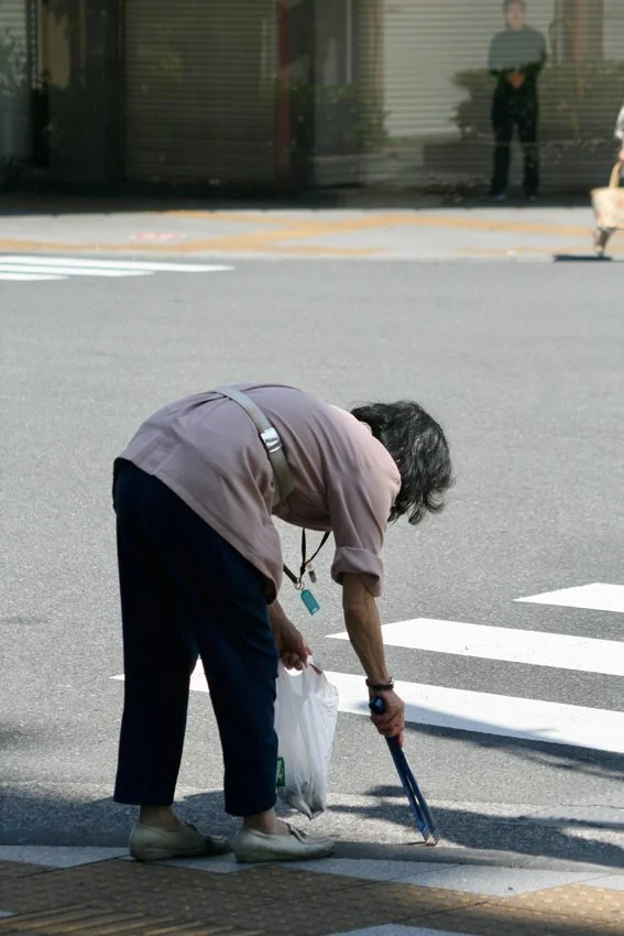 photo n°4.jpg