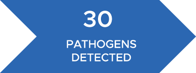 realSENSe can identify up to 30 pathogens and precise bacterial count using Real-time PCR DNA analysis.