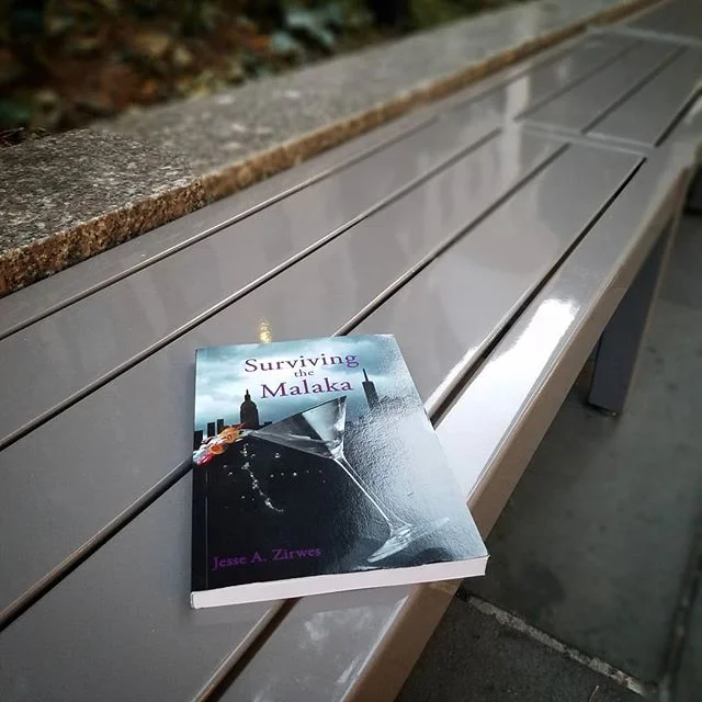 Need a good weekend read? Surviving the Malaka is a story about a 22 year old who moves to NYC after college and ends up working in a bar. The schizophrenic bar manager, who self medicates with cocaine and alcohol, takes the young Idahoan on a crazy 