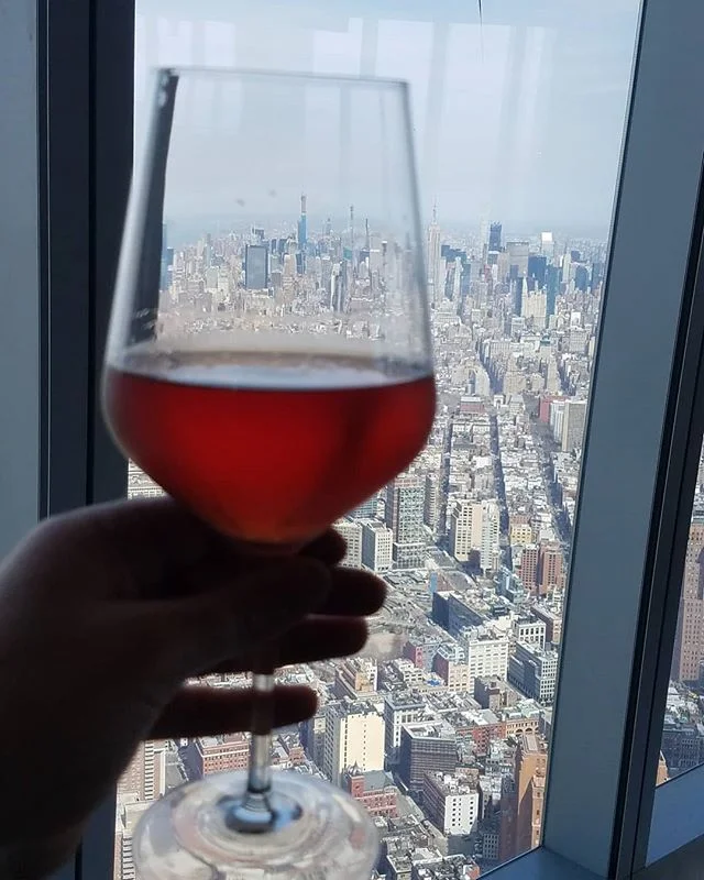 New York City, you are gorgeous. This is why I love to visit and why I based my novel in NYC. 
#iloveny #nyc #newyork #author #fiction #published #books #writersofinstagram #bookstagram #womensfiction #survivingthemalaka #drinkswithaview #travel #wtc