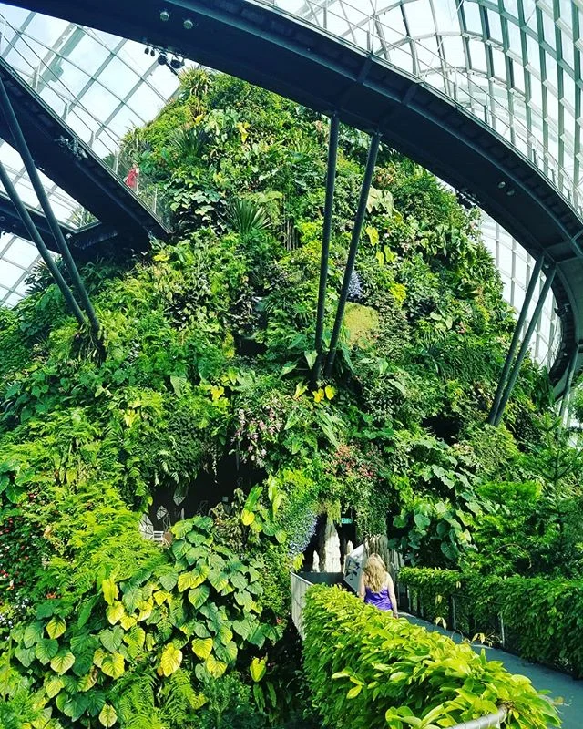Always stay curious.

#wanderlust #travel #explore #adventure #author #read #write #singapore