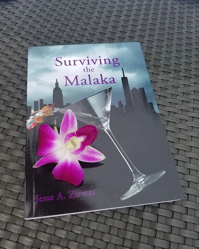 Need a story about a young girl trying to make it in the City that Never Sleeps? Check this out!

Surviving the Malaka is available on eBook and Paperback from @goodreads and @amazon or lulu.com. Link in bio.

#survivingthemalaka #author #fiction #pu