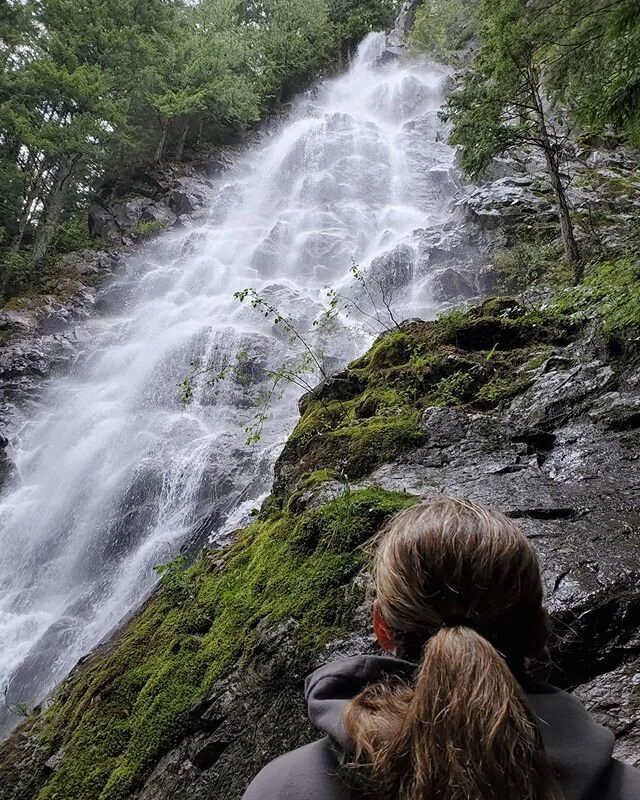 Always stay curious ⛰

#hiking #hikingadventures #nature #outdoors #waterfall