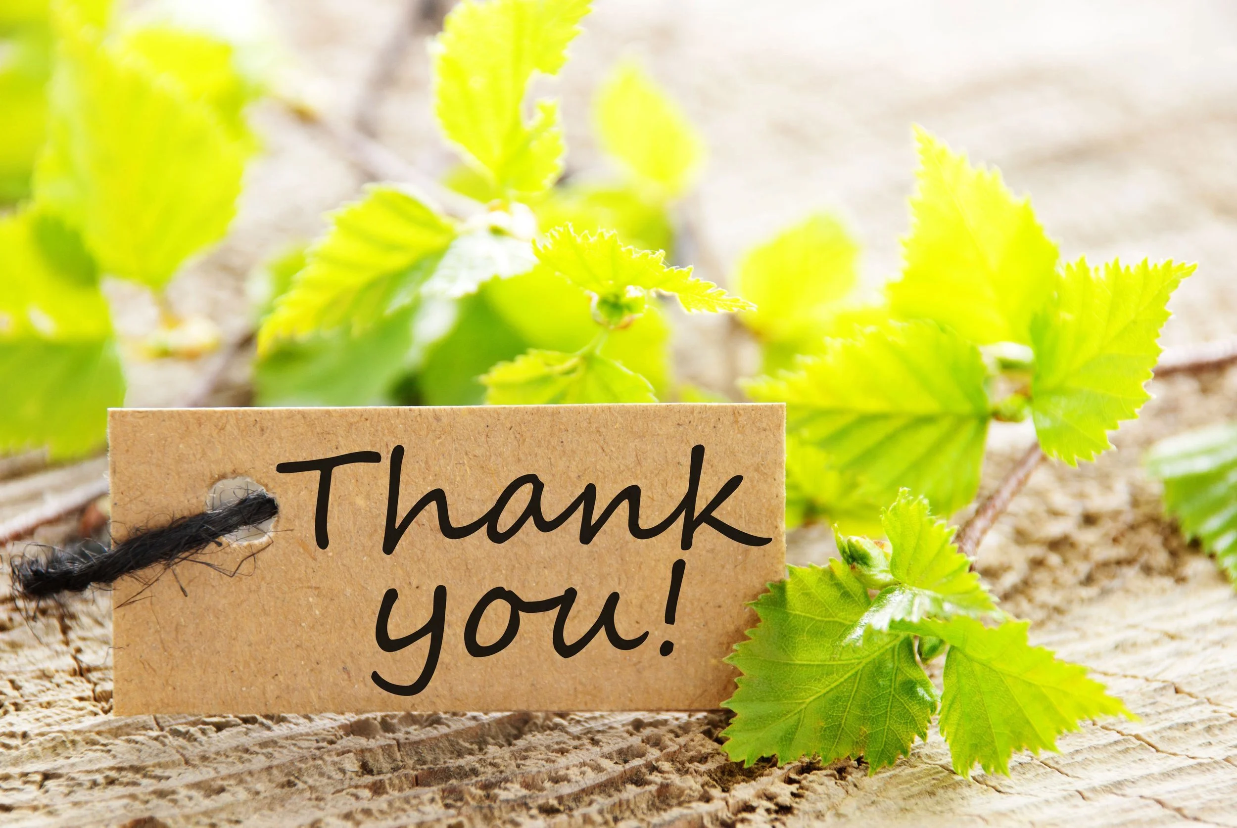 What's Next? Faithful Civic Engagement & Political Discipleship