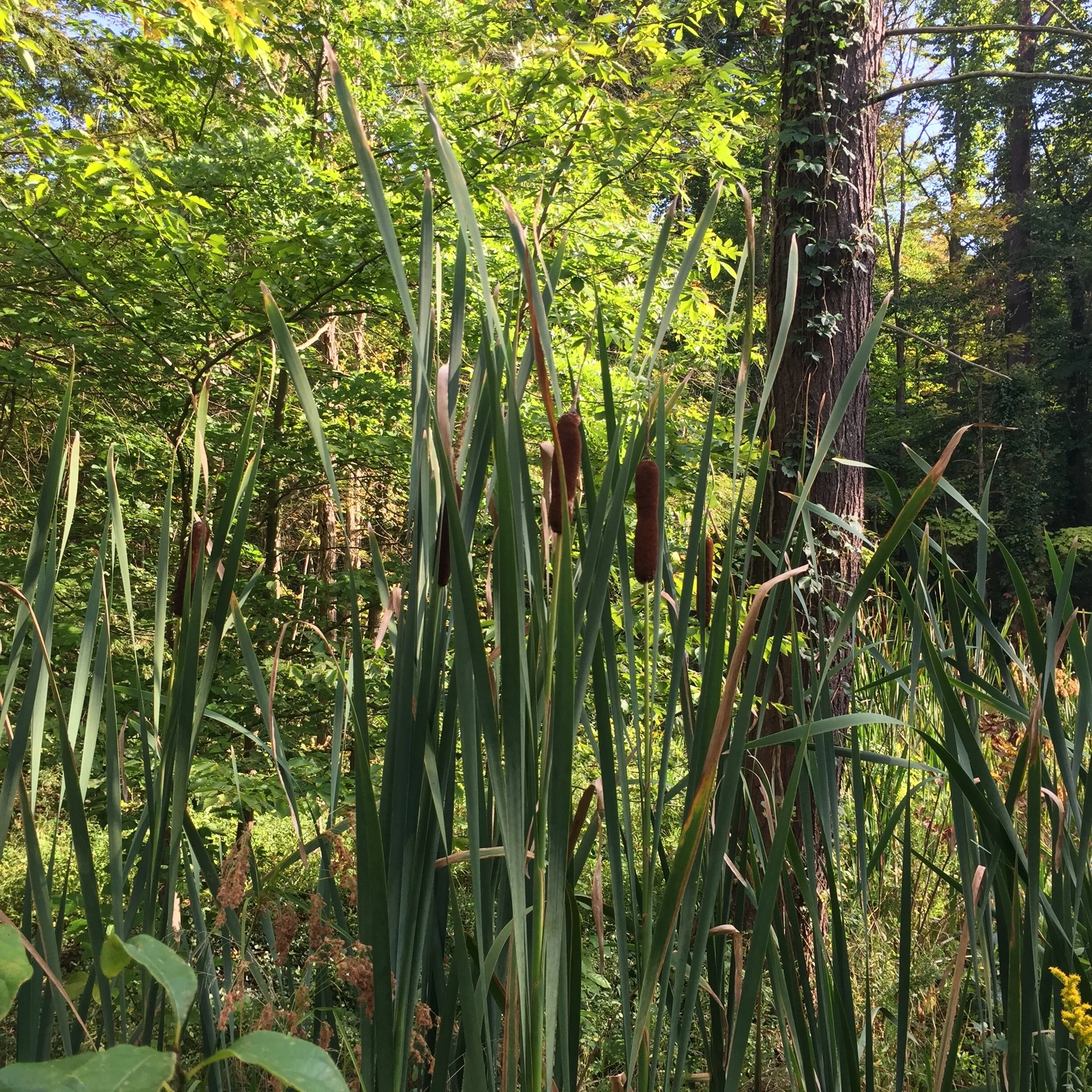 Fall change is in the air!