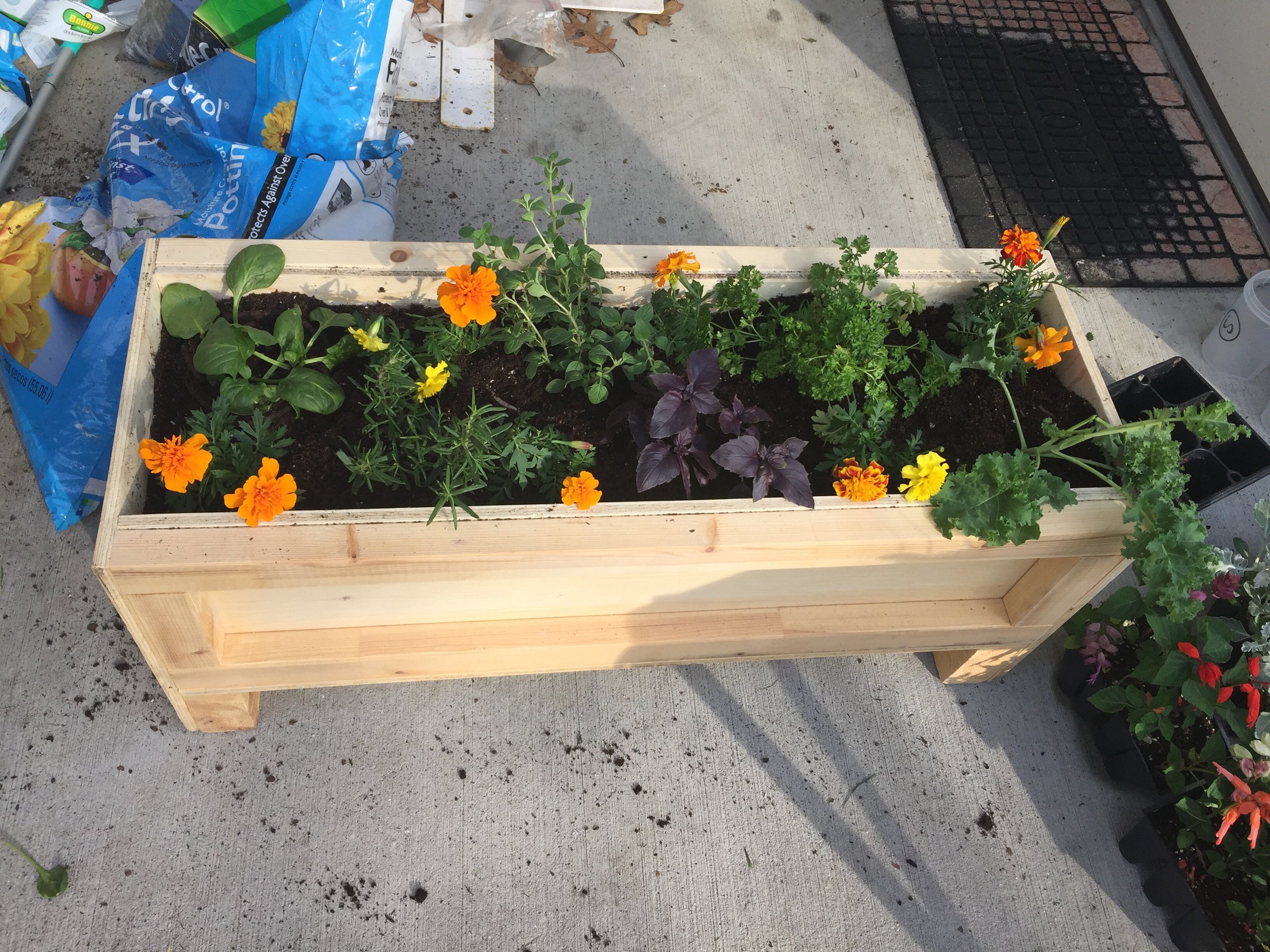 How To: Upcycled Herb Planter