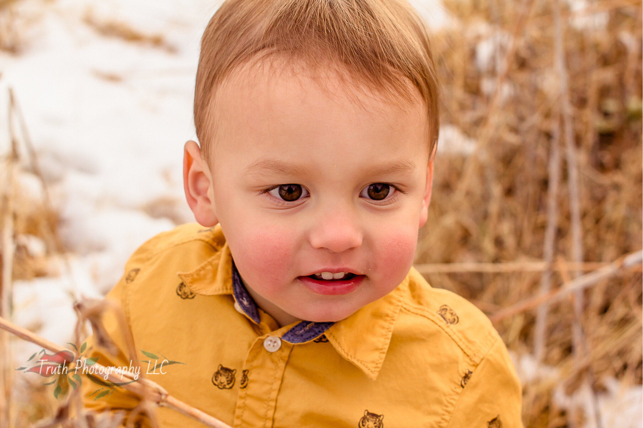 Truth-Photography-Boulder-family-photography.jpg