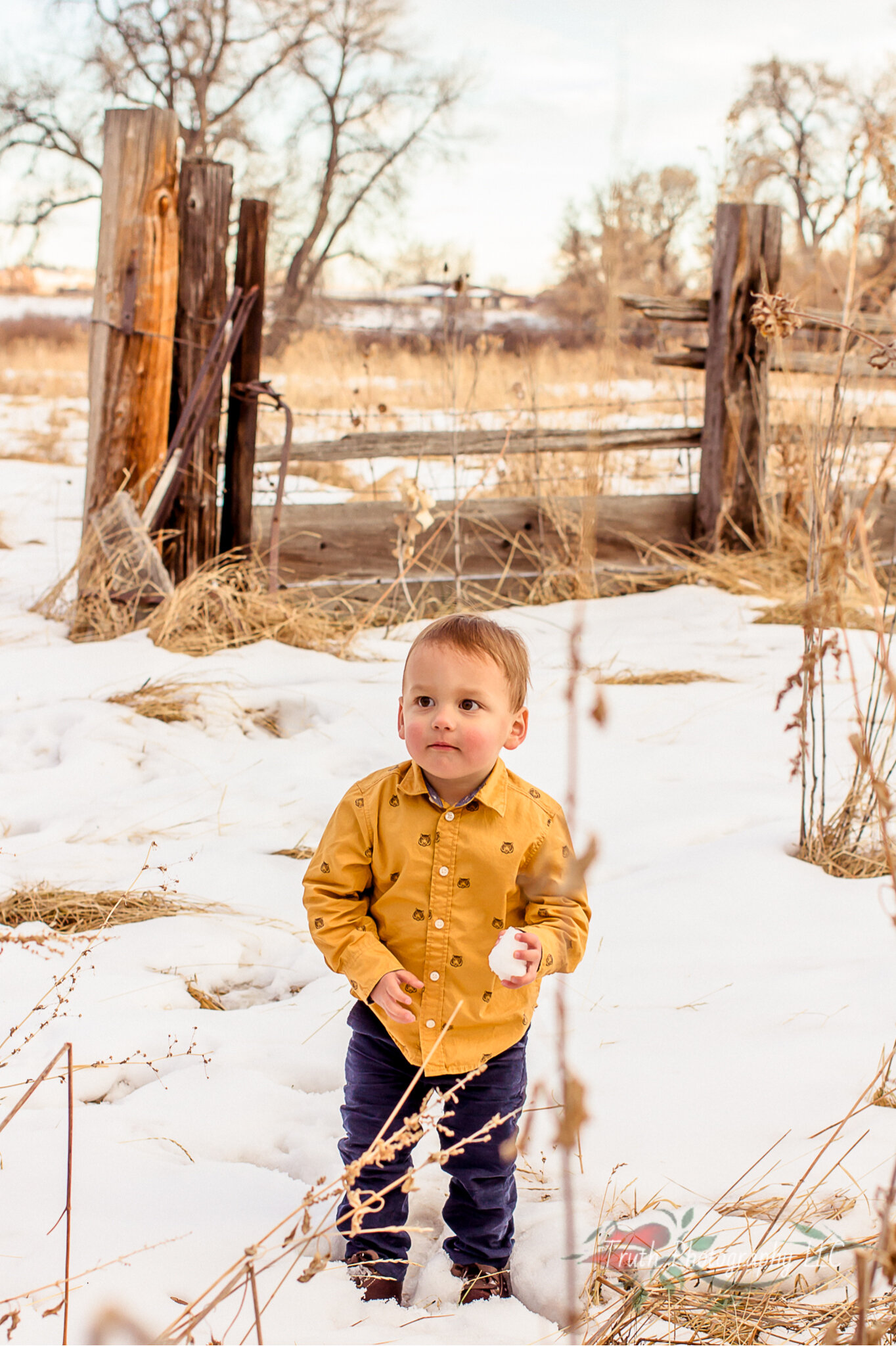 Truth-Photography-Boulder-co-family-photograph.jpg