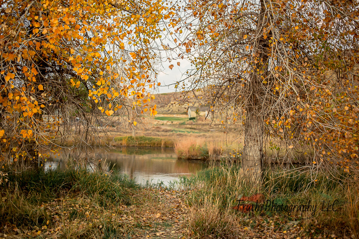 Sandstone-Ranch-Longmont-1008.jpg