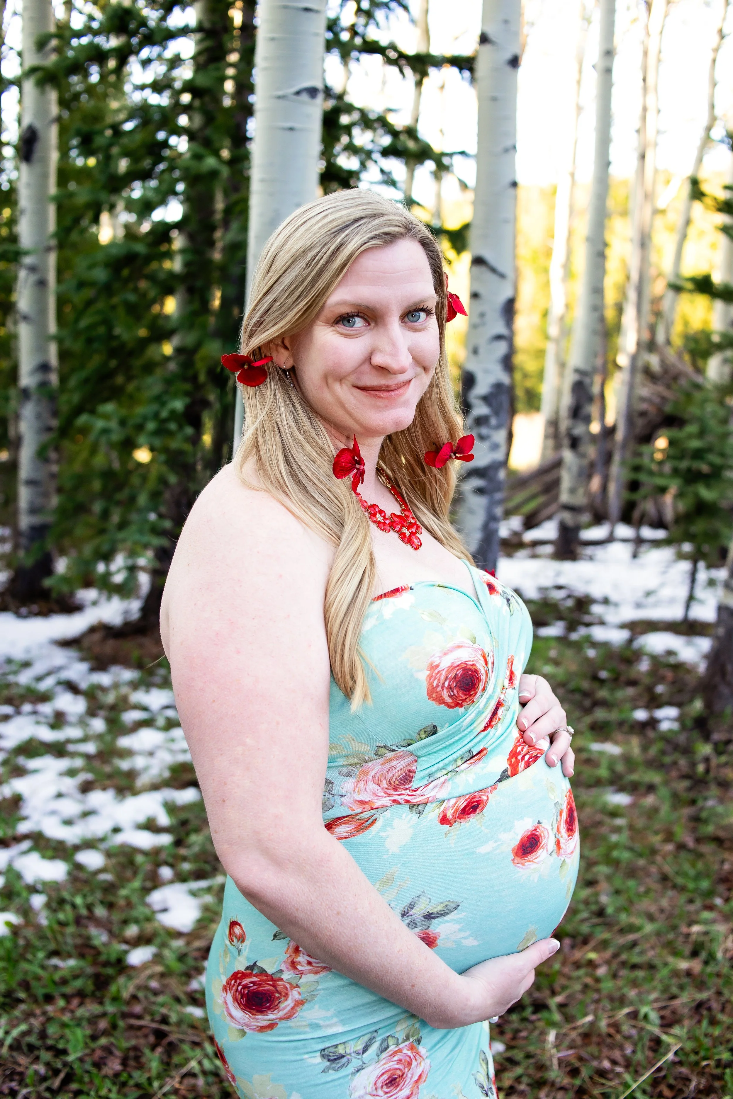 Evergreen Colorado Mountain Photography