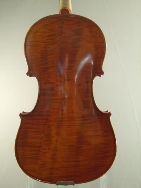 3609163853_C1247 Viola 004.jpg