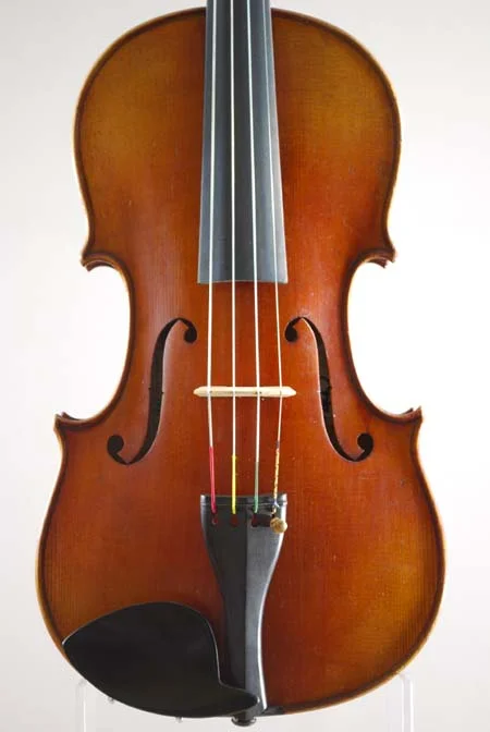 111009132129_697 Viola 005.jpg