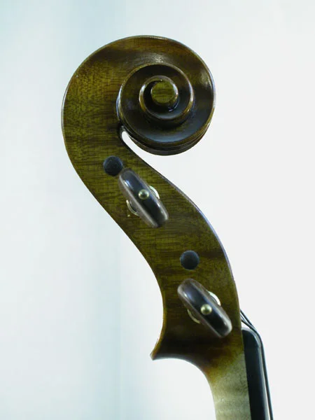 53008131154_600 viola 003.jpg